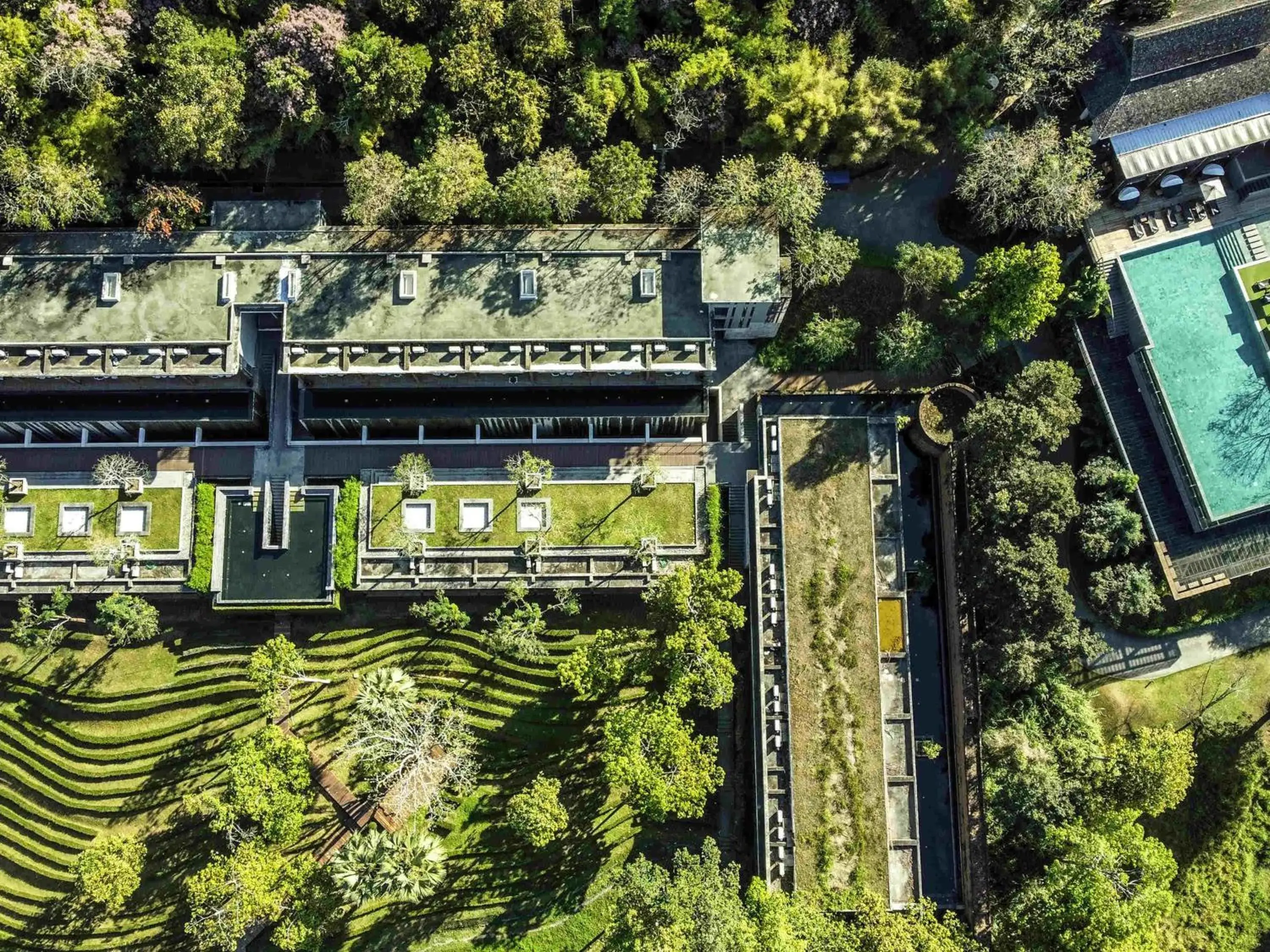 Pool view in Veranda High Resort Chiang Mai - MGallery Collection, Accor Hotel Pool view in Veranda High Resort Chiang Mai - MGallery Collection, Accor Hotel