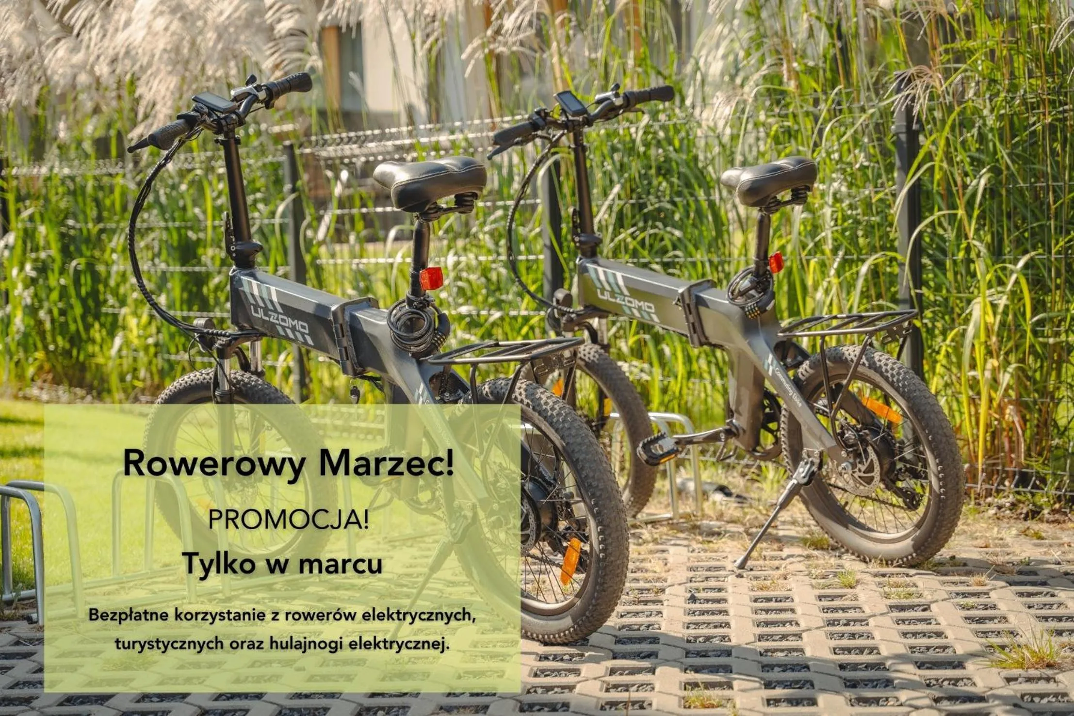 Activities in Kamienica Parkowa