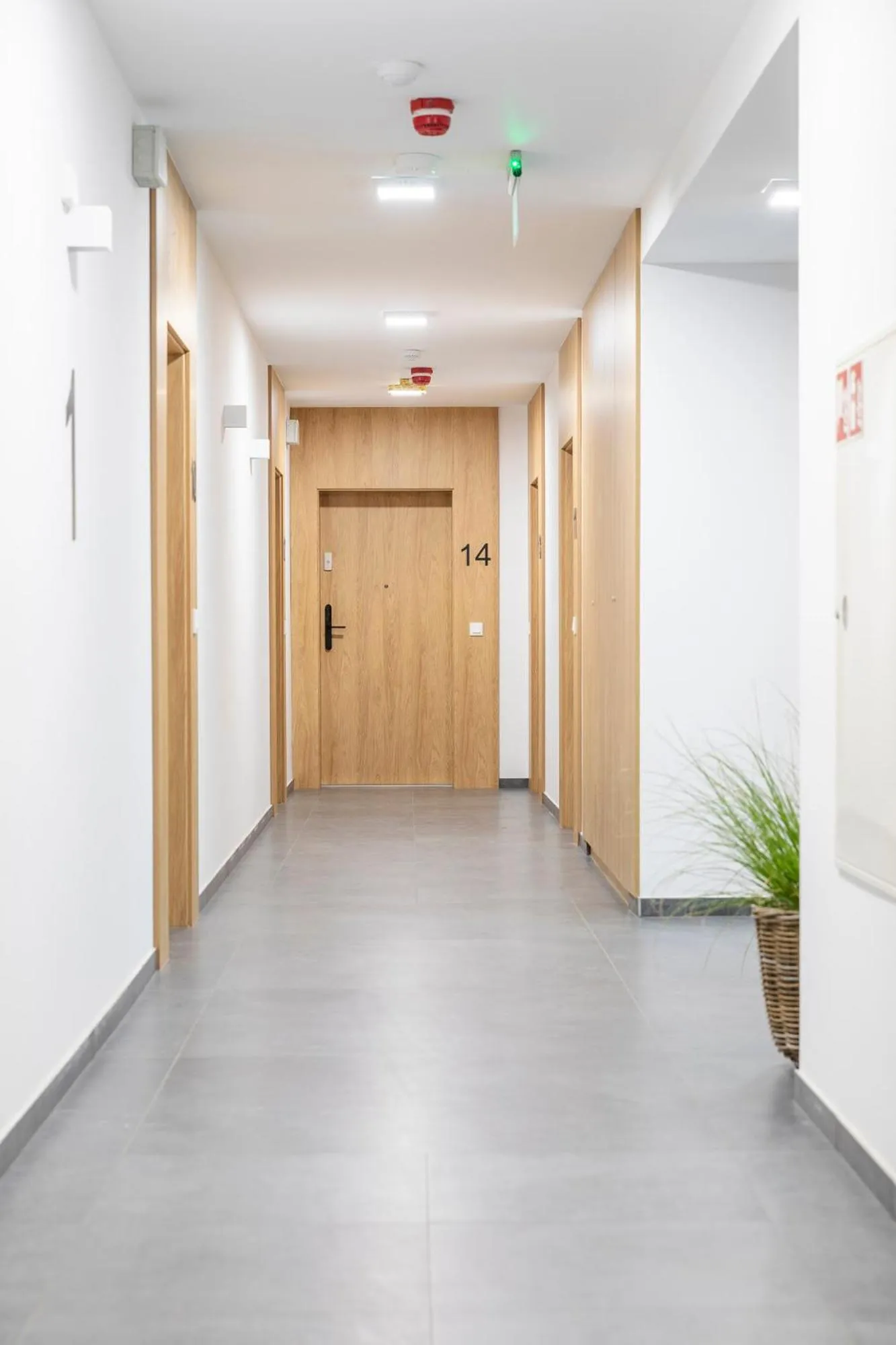 Property building in Kamienica Parkowa