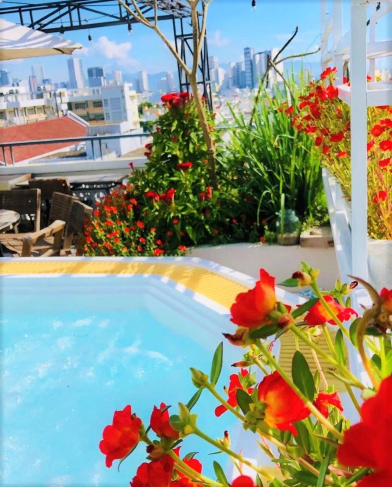 Activities in Olivia Hotel and Apartment