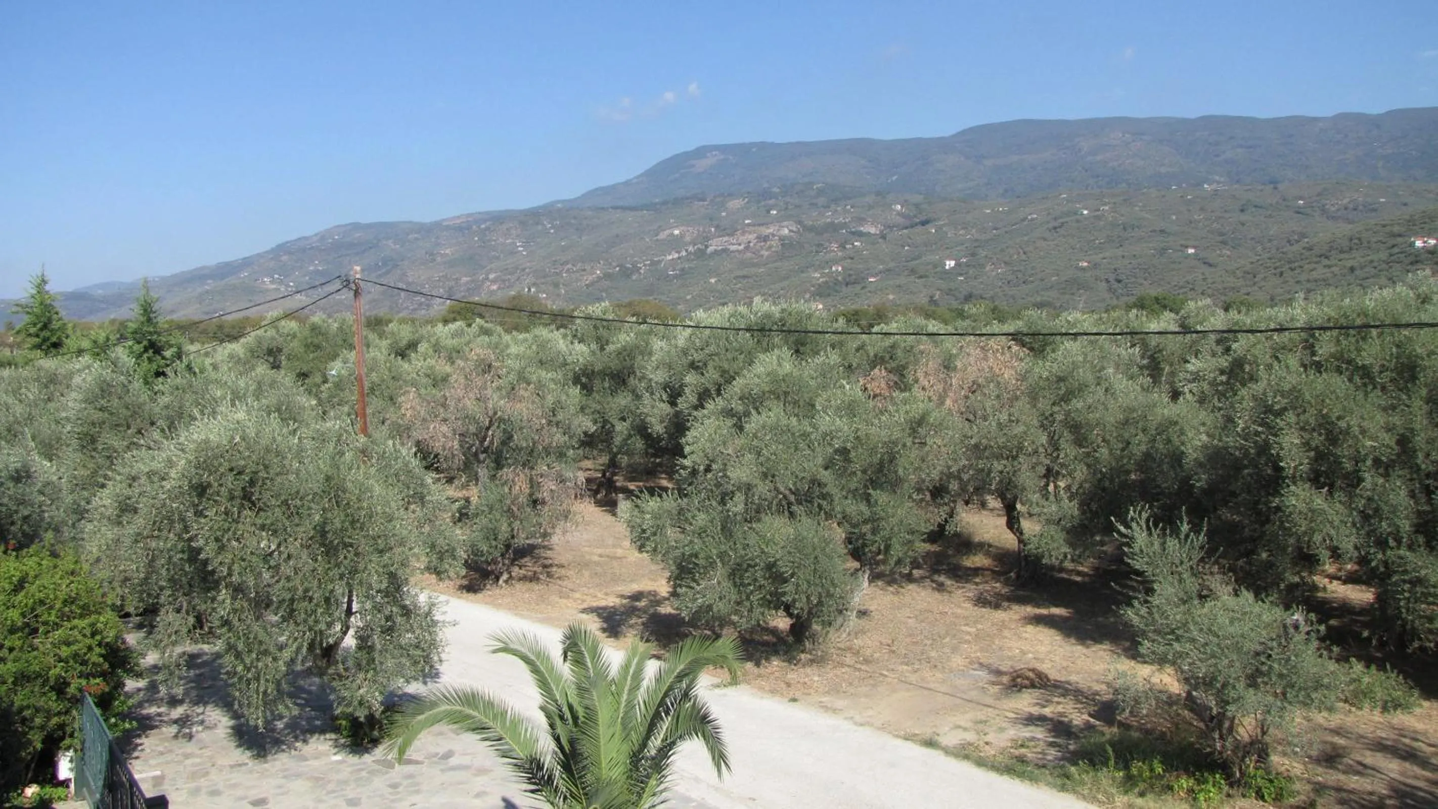 Natural landscape in Palirria Hotel & Studios