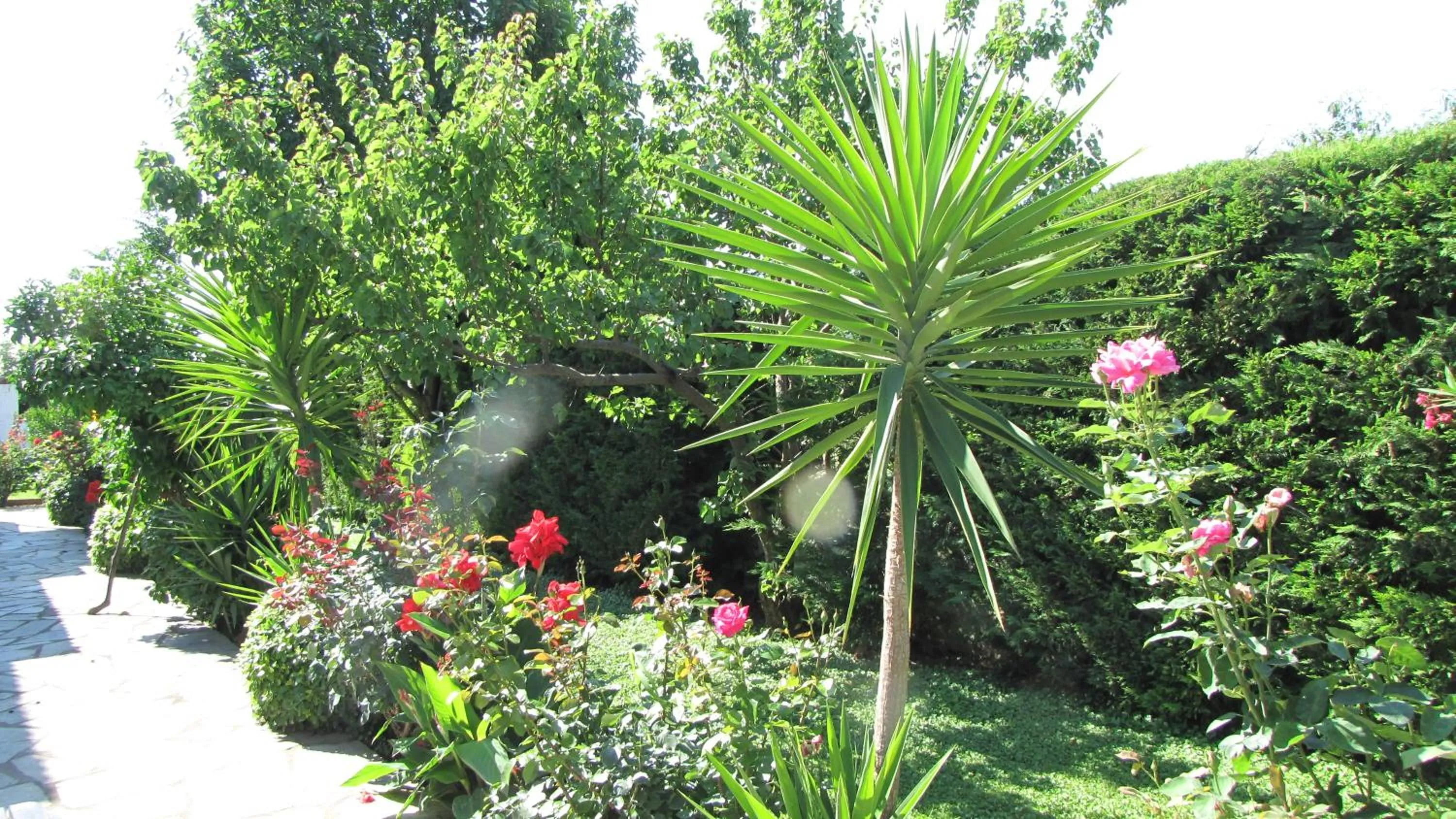 Spring in Palirria Hotel & Studios