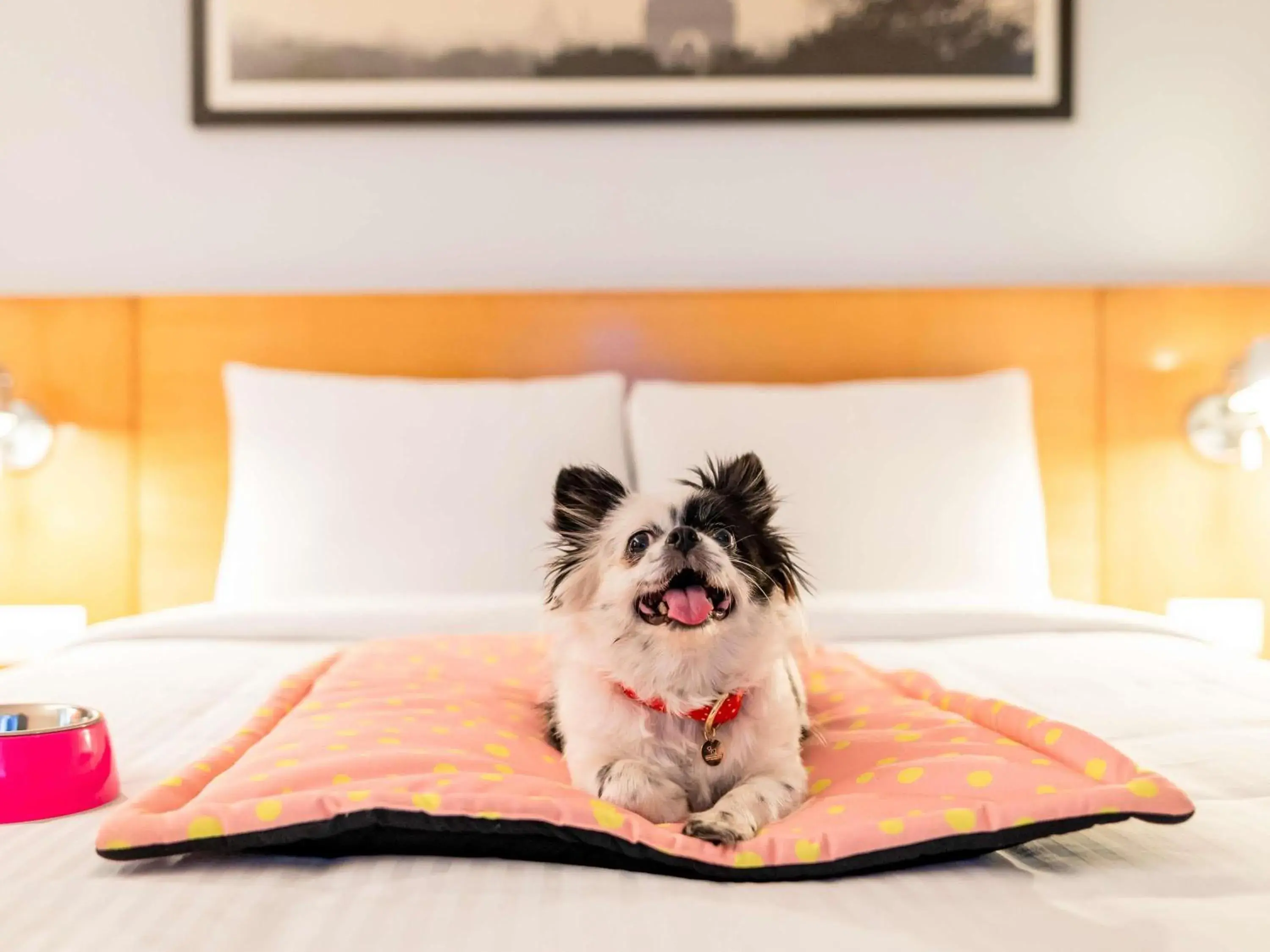 Other, Bed in ibis Mainz City Other, Bed in ibis Mainz City