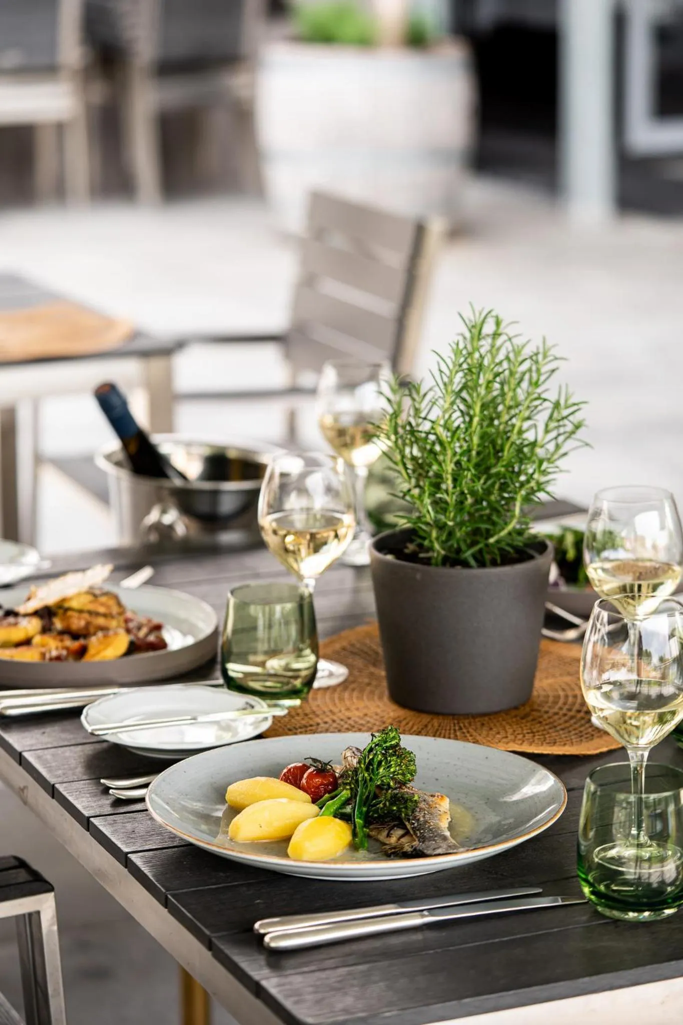 Balcony/Terrace in Hotel Darstein