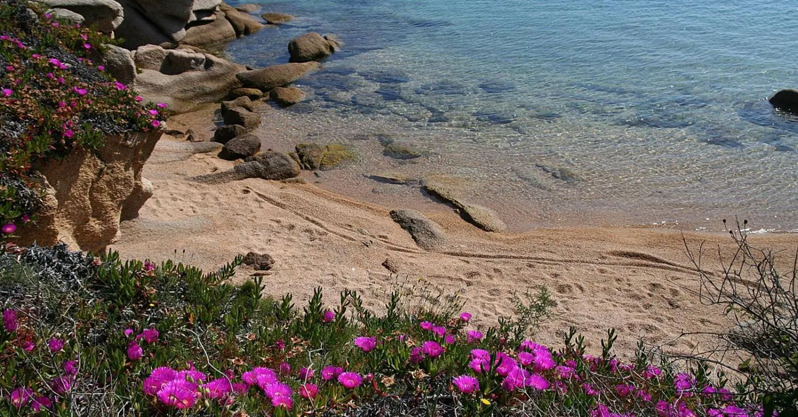 Beach in Appartamenti Galatea