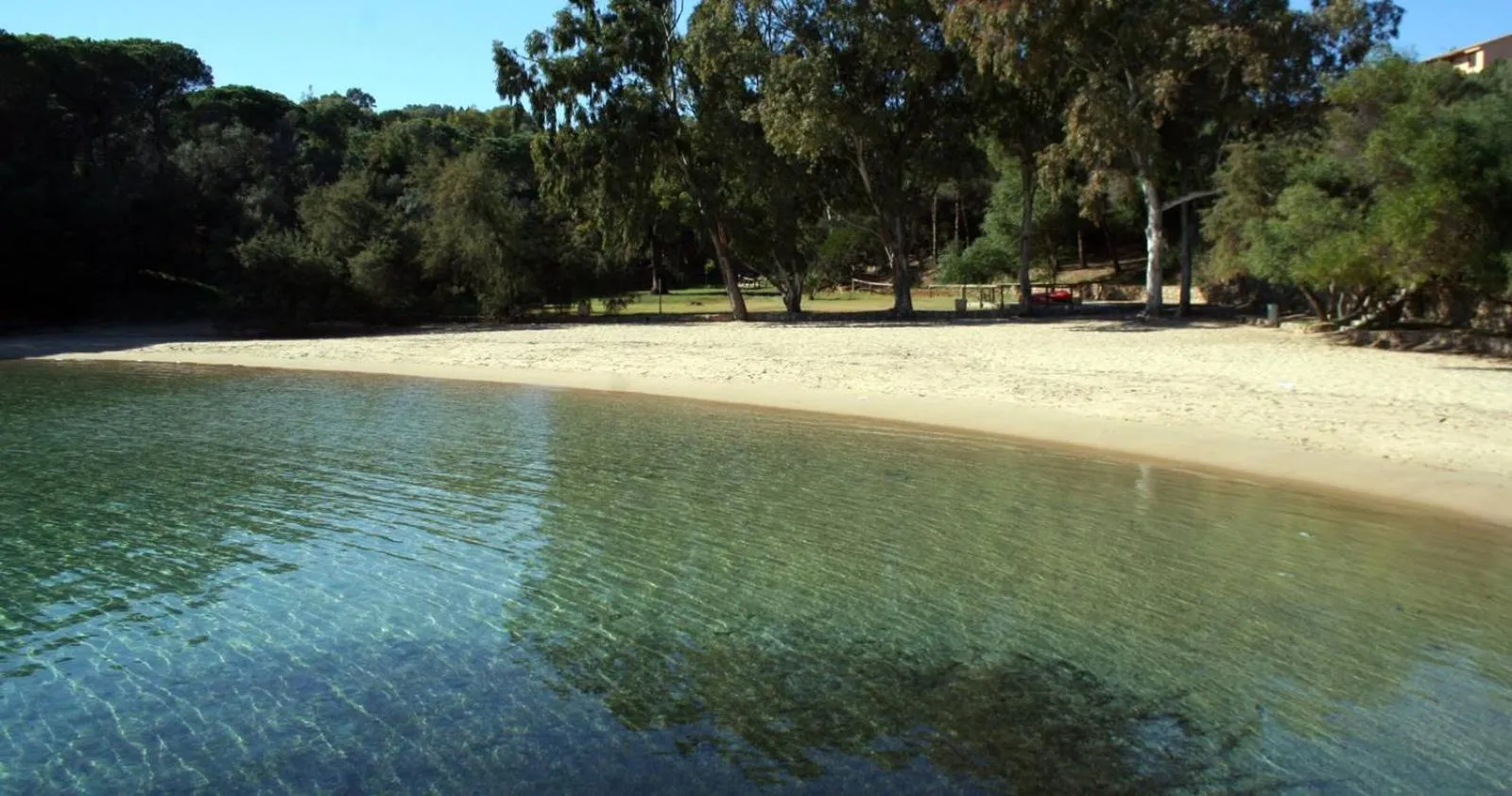 Beach in Appartamenti Galatea