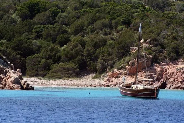 Beach in Appartamenti Galatea