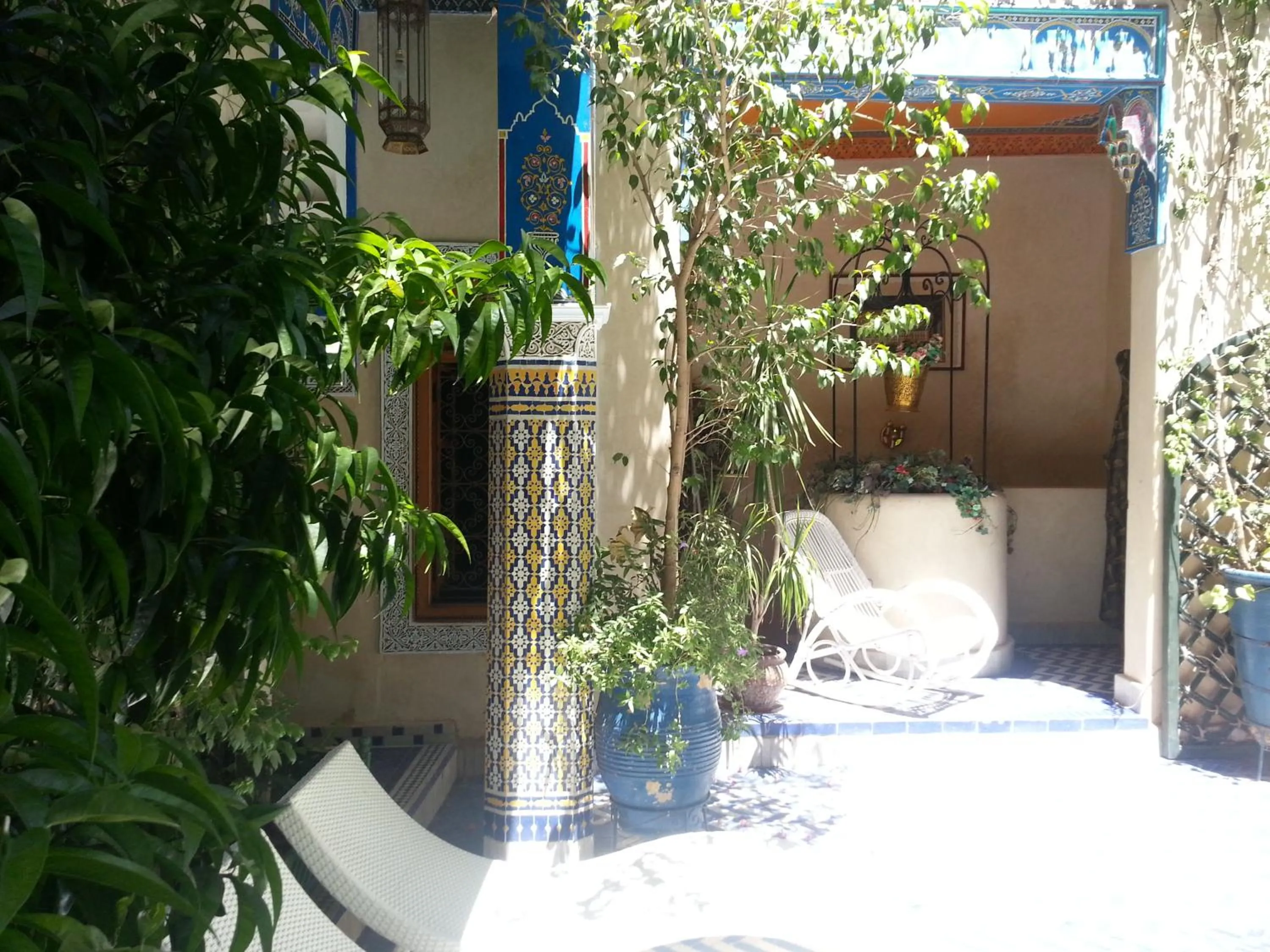Garden in Riad Puchka