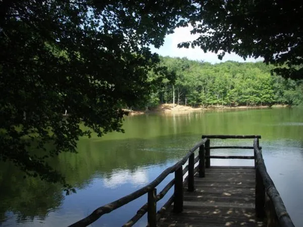 Other in Albergo Villa Bianca