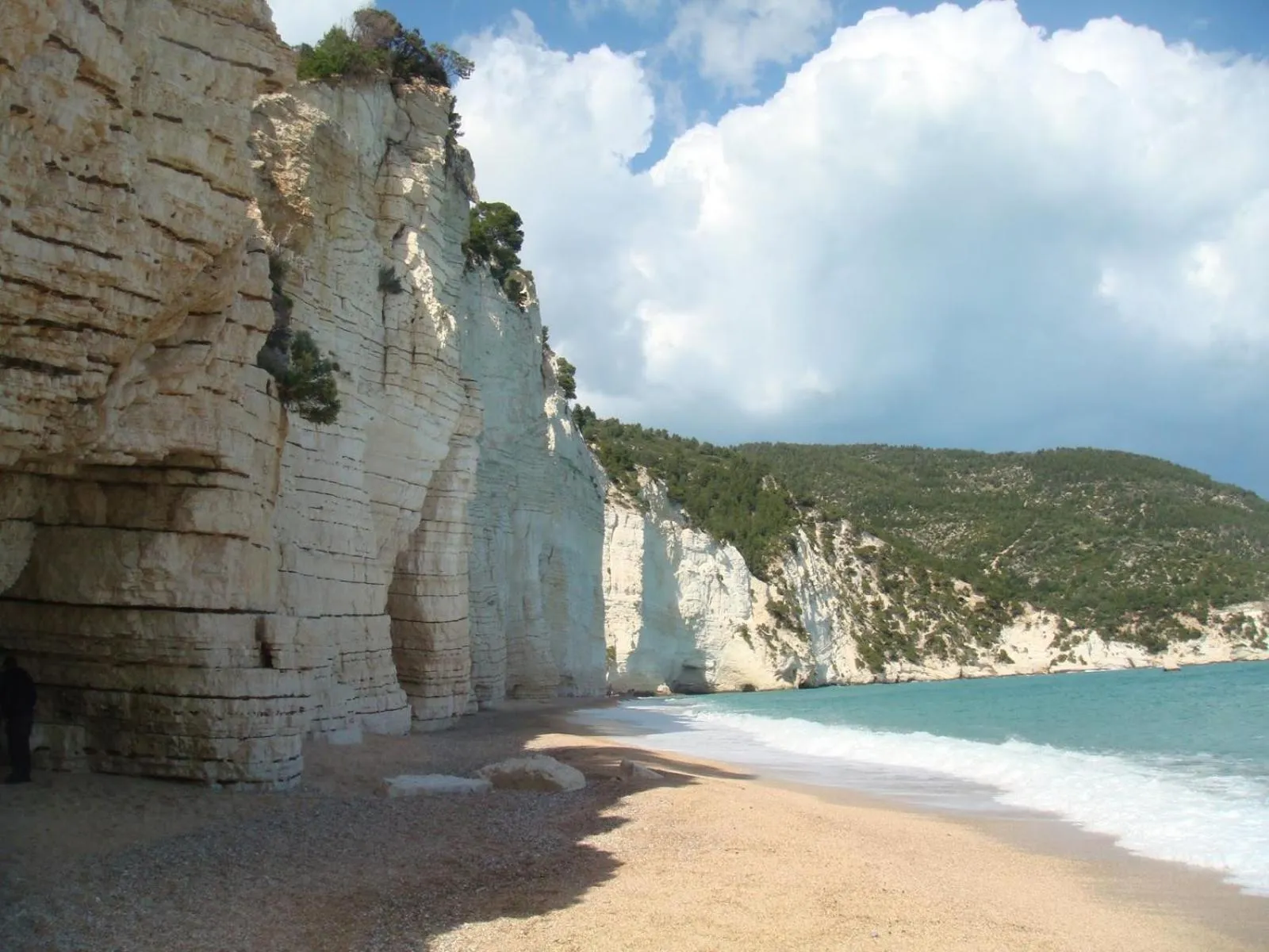 Beach in Albergo Villa Bianca