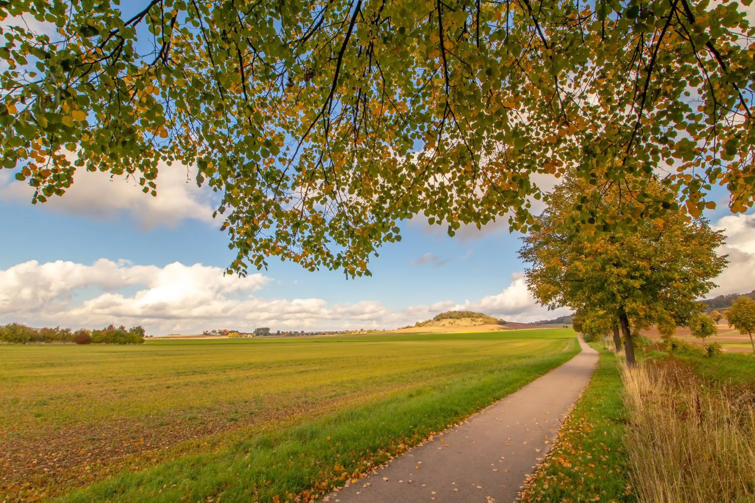 Spring in Romantik Hotel Landhaus Biewald
