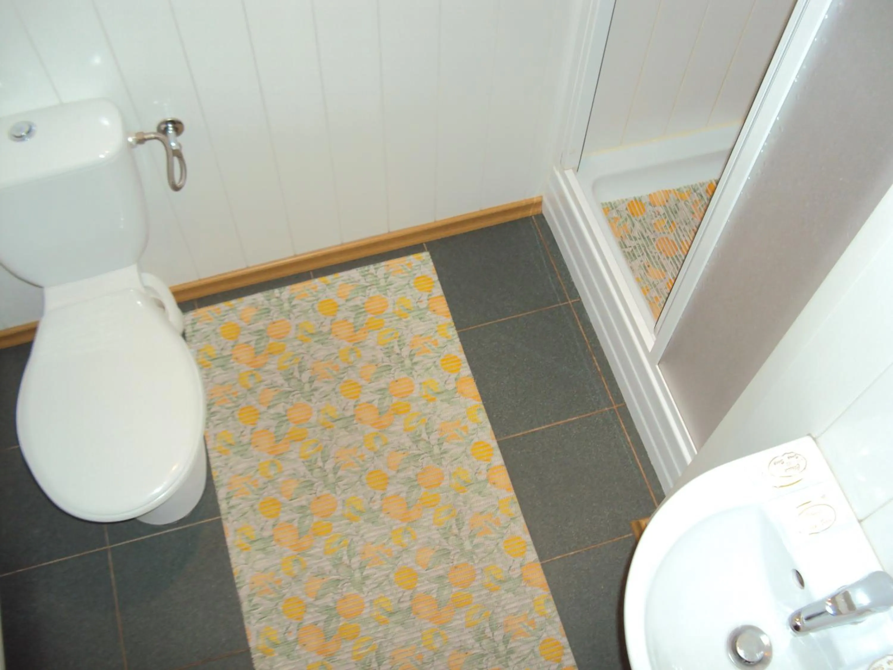 Shower in Saule
