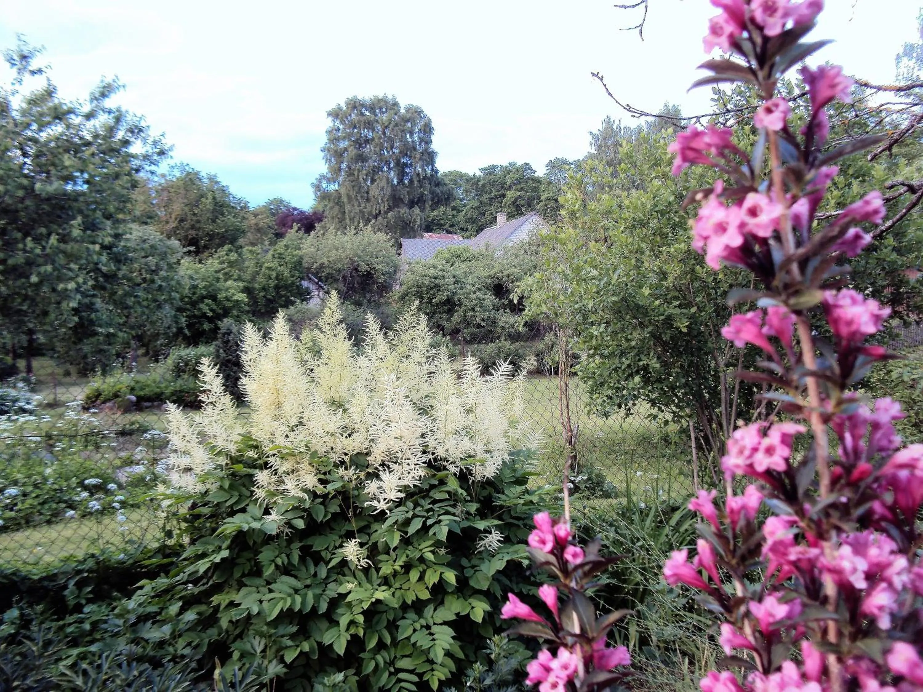 View (from property/room) in Saule