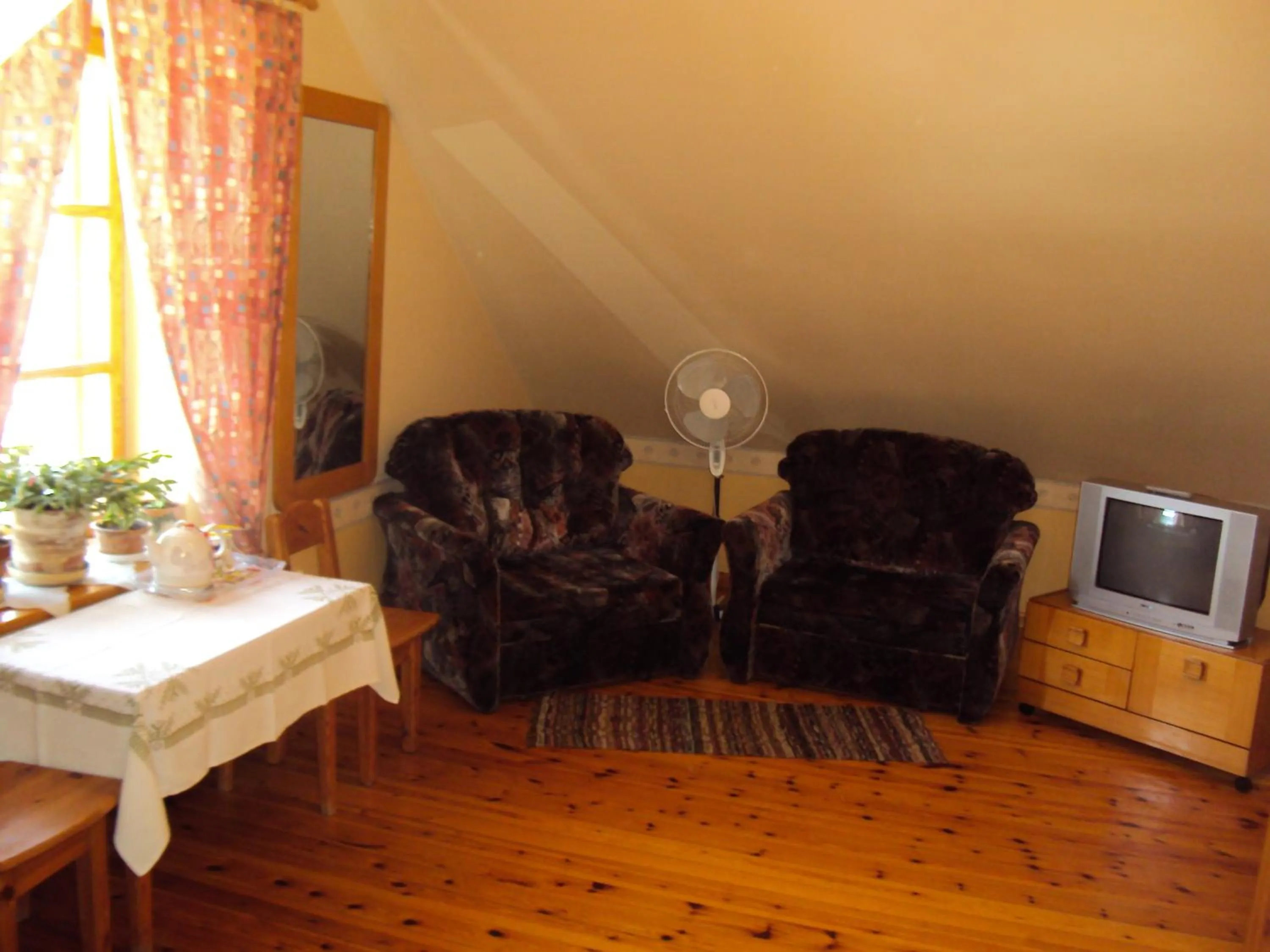 TV and multimedia in Saule