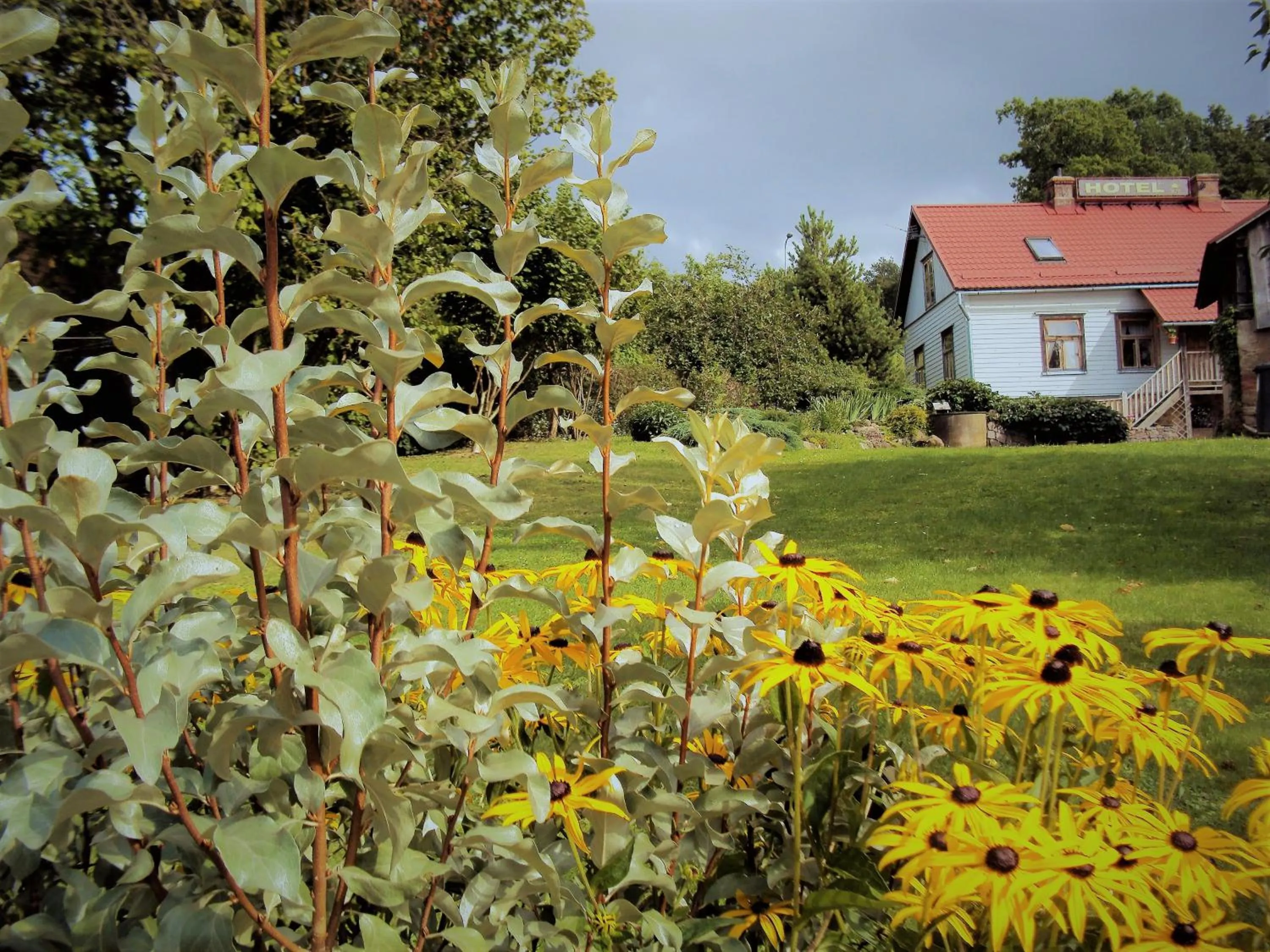 Neighbourhood in Saule