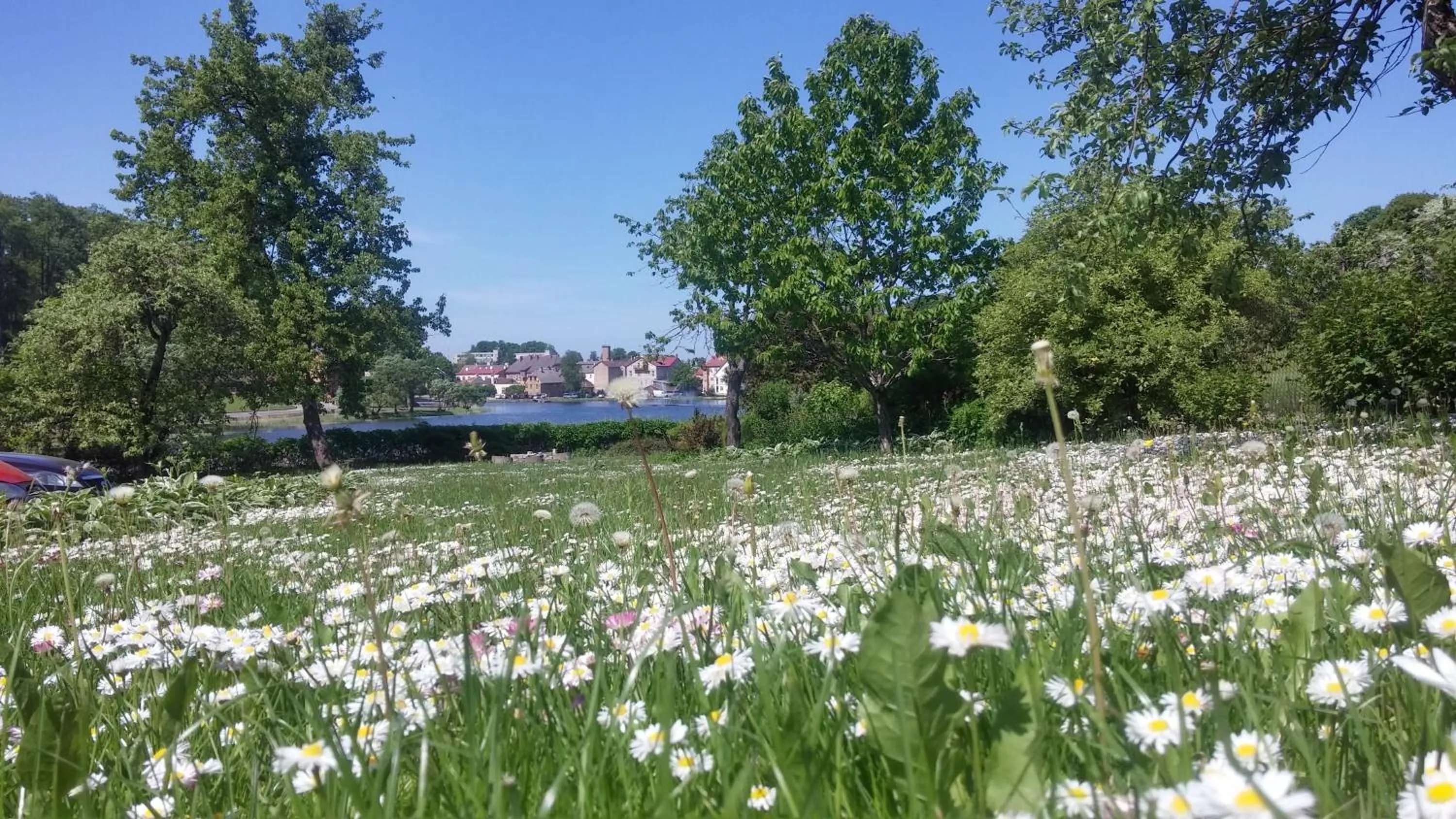 Natural landscape in Saule
