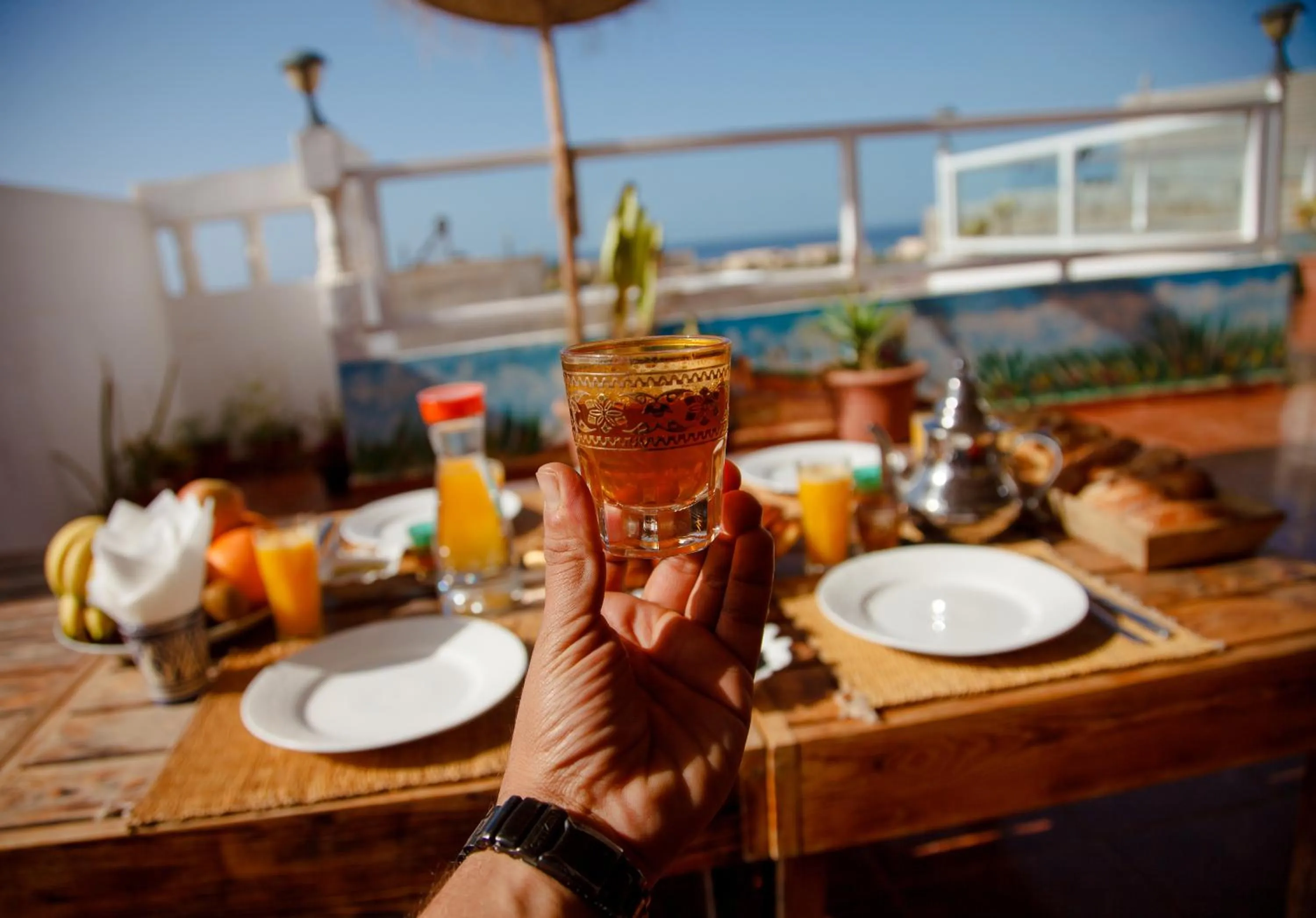 Restaurant/places to eat in Hola Surf Morocco