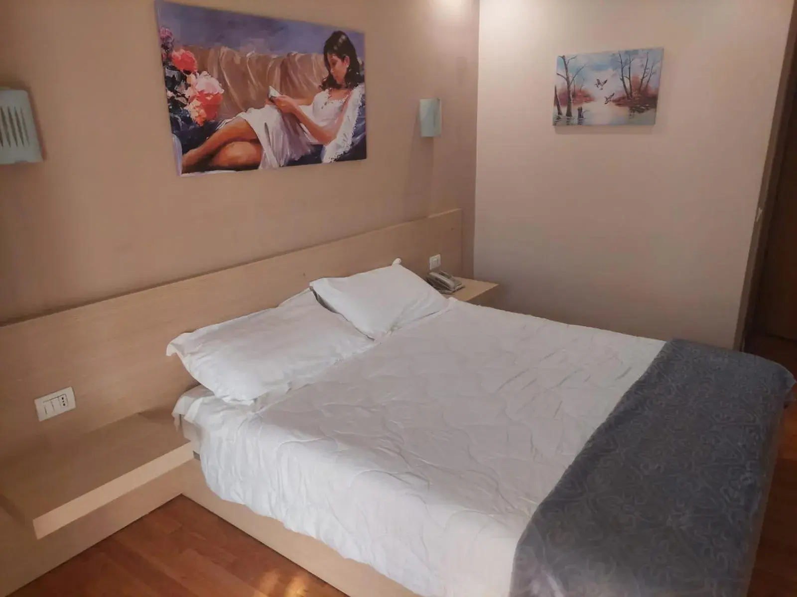 Double Room in Hotel Green Double Room in Hotel Green