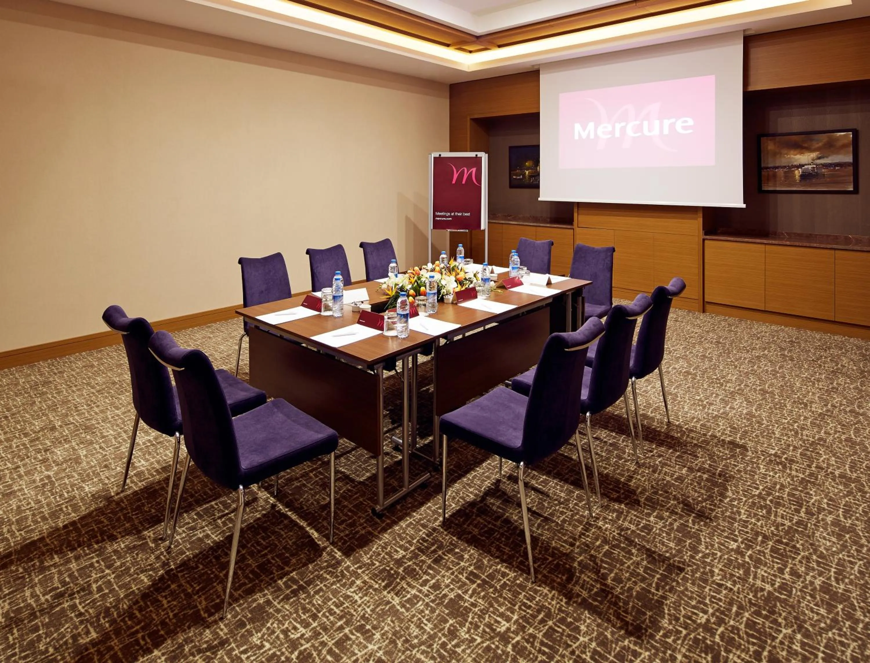 Business facilities in Mercure Istanbul Altunizade