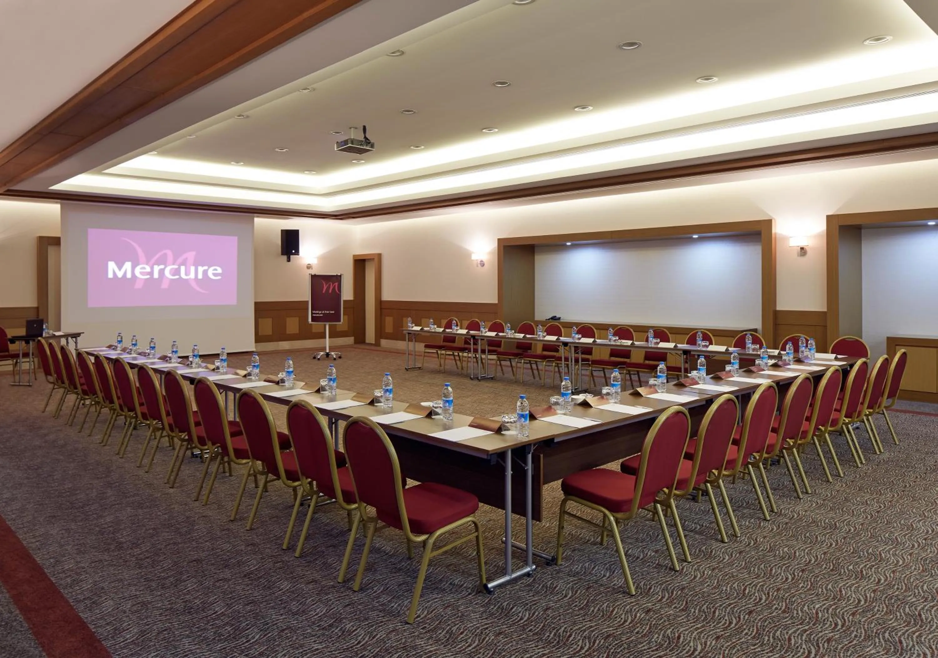 Business facilities in Mercure Istanbul Altunizade