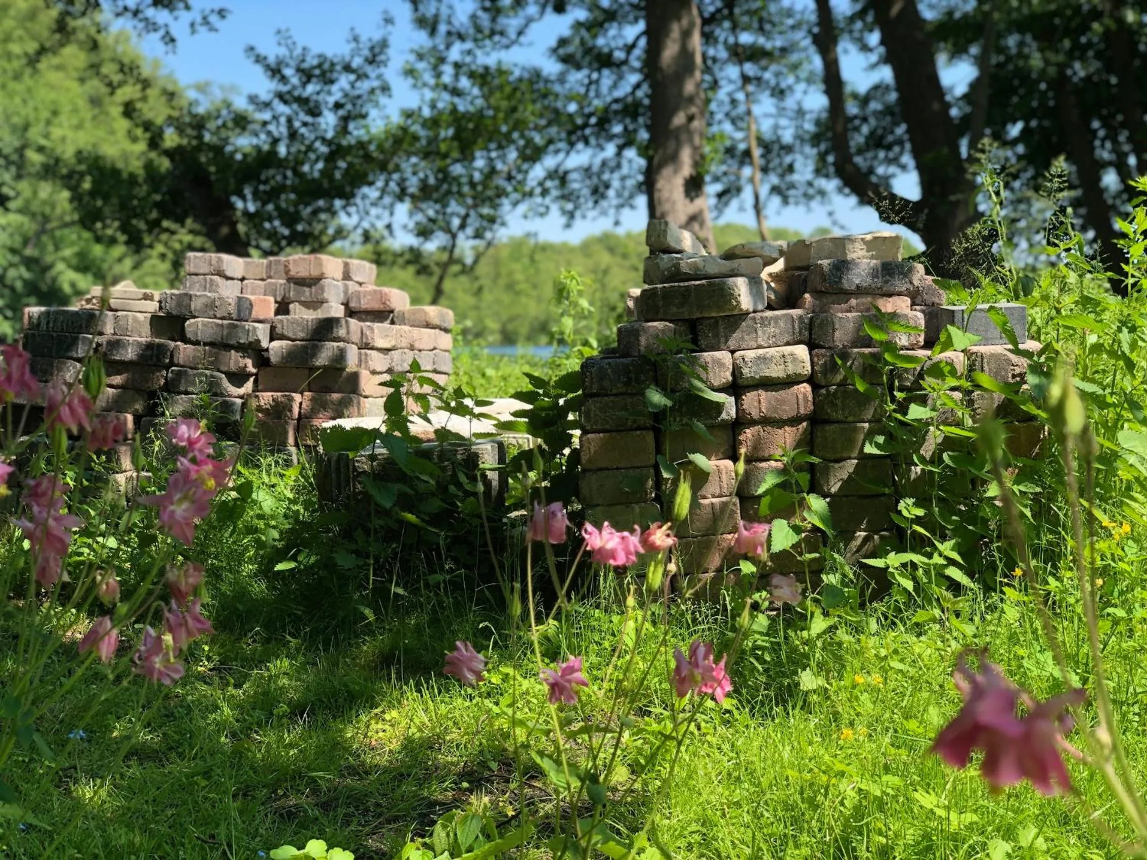 Natural landscape in Seehotel Villago