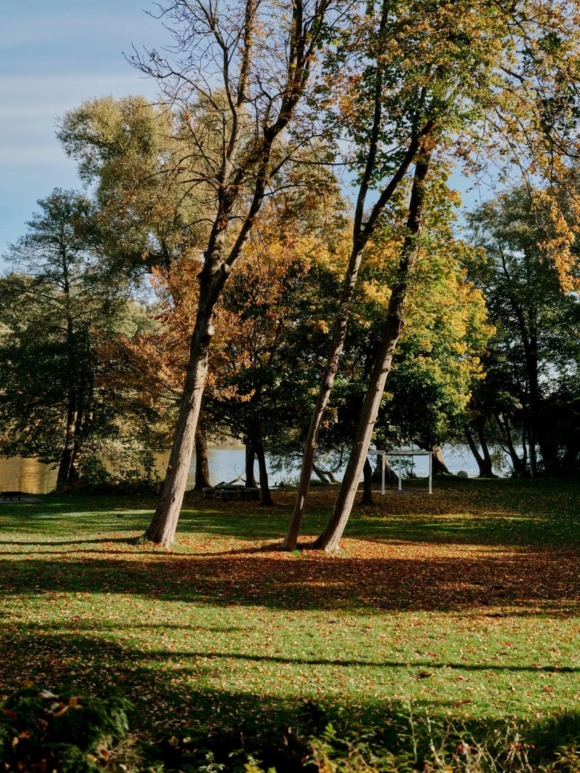 Natural landscape in Seehotel Villago