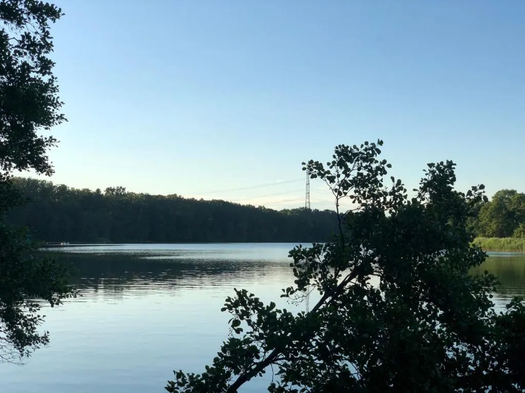 Garden in Seehotel Villago