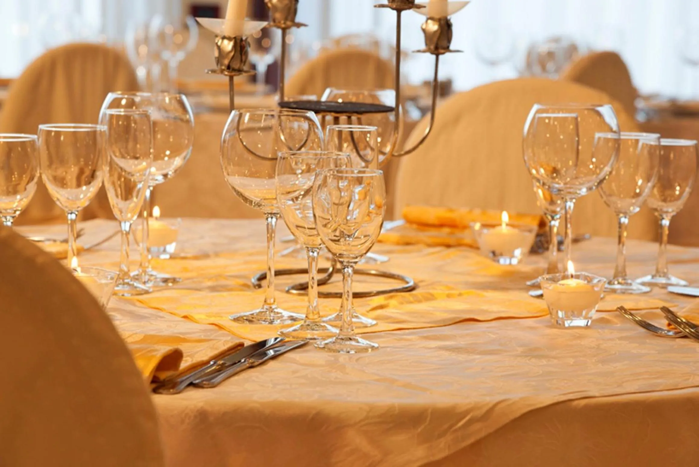 Banquet/Function facilities in Hotel La Ruota