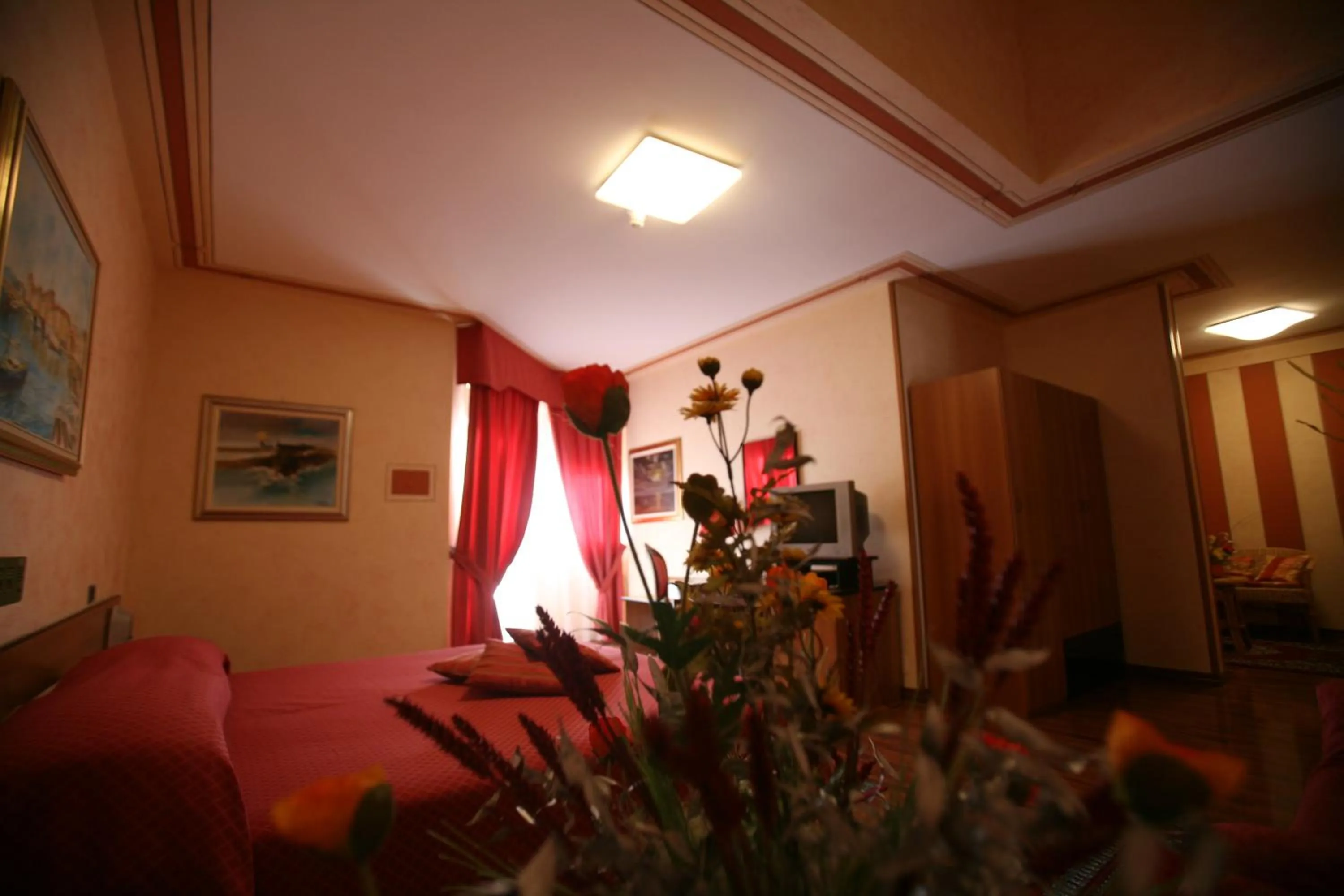 Superior Double Room in Hotel La Ruota