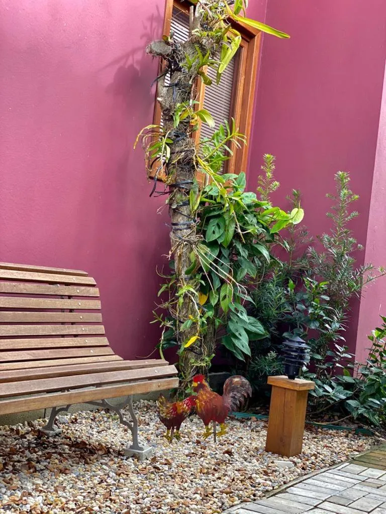 Garden view in Vila Figueiredo das Donas