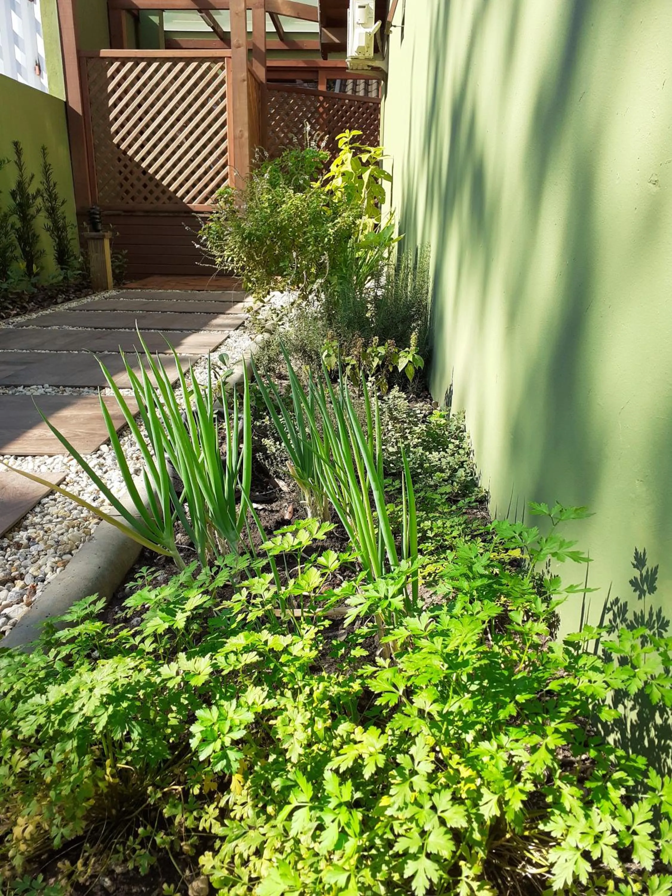 Garden in Vila Figueiredo das Donas