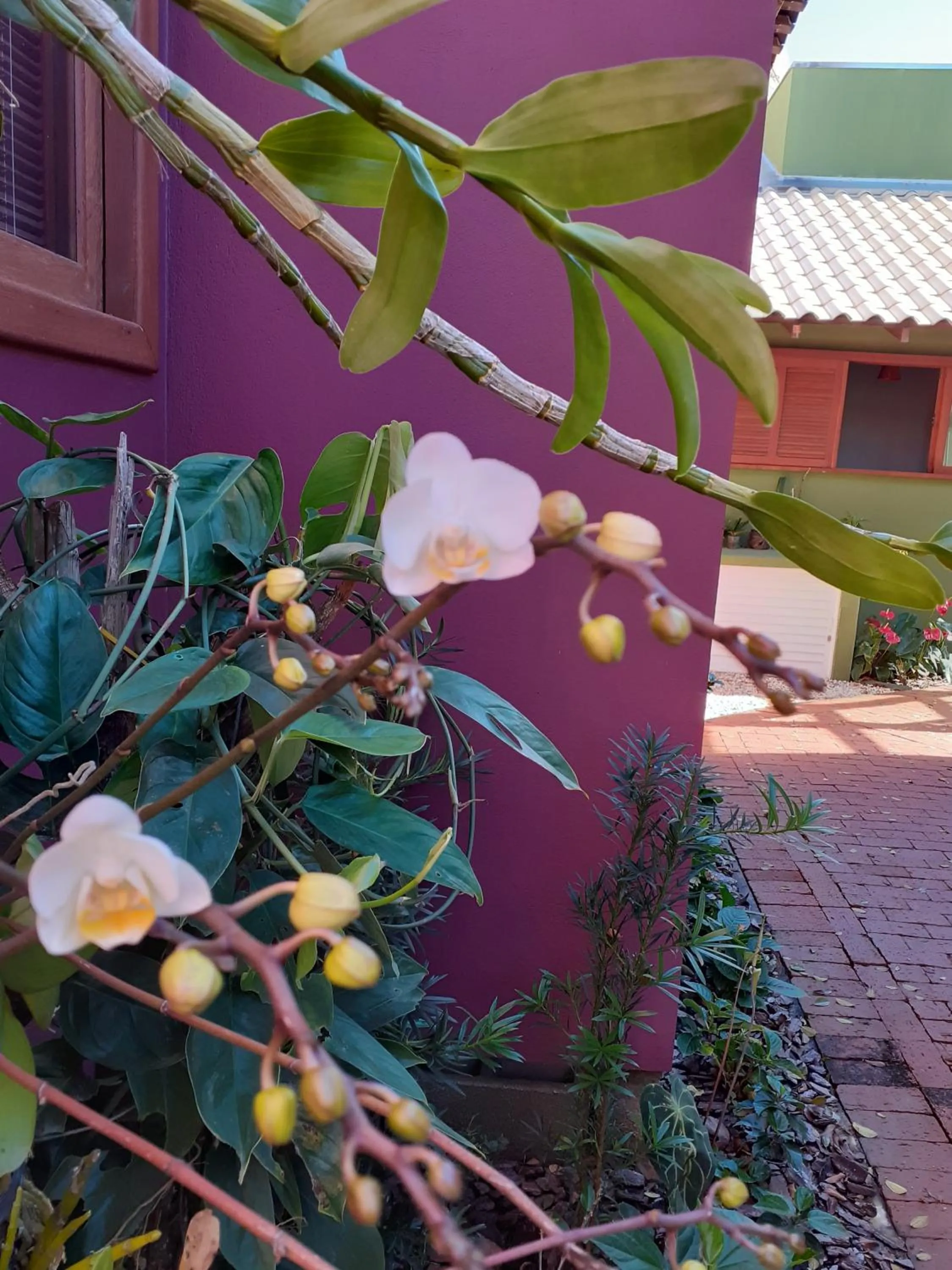Garden in Vila Figueiredo das Donas