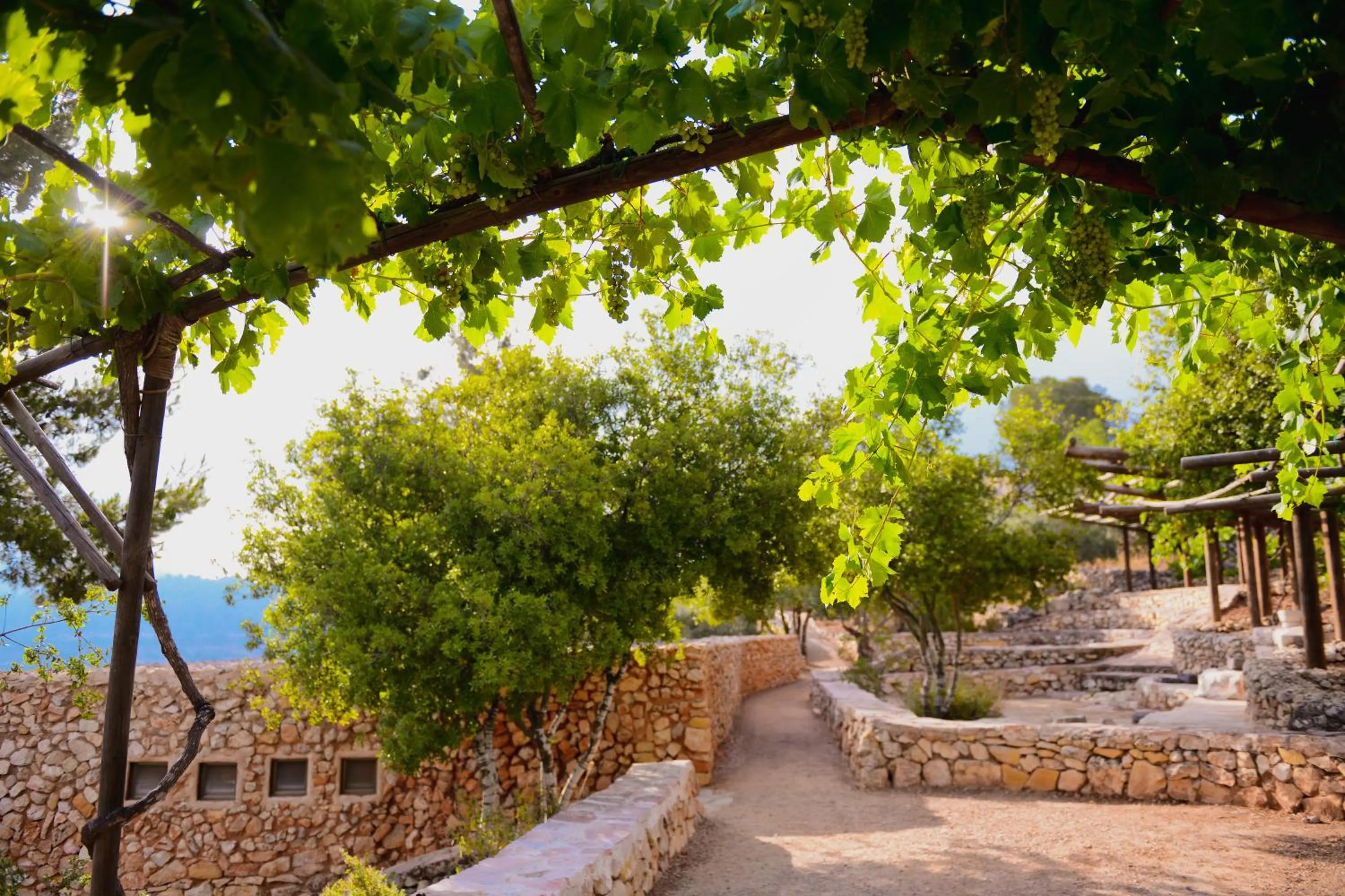 View (from property/room) in Logos hotel in Yad Hashmona