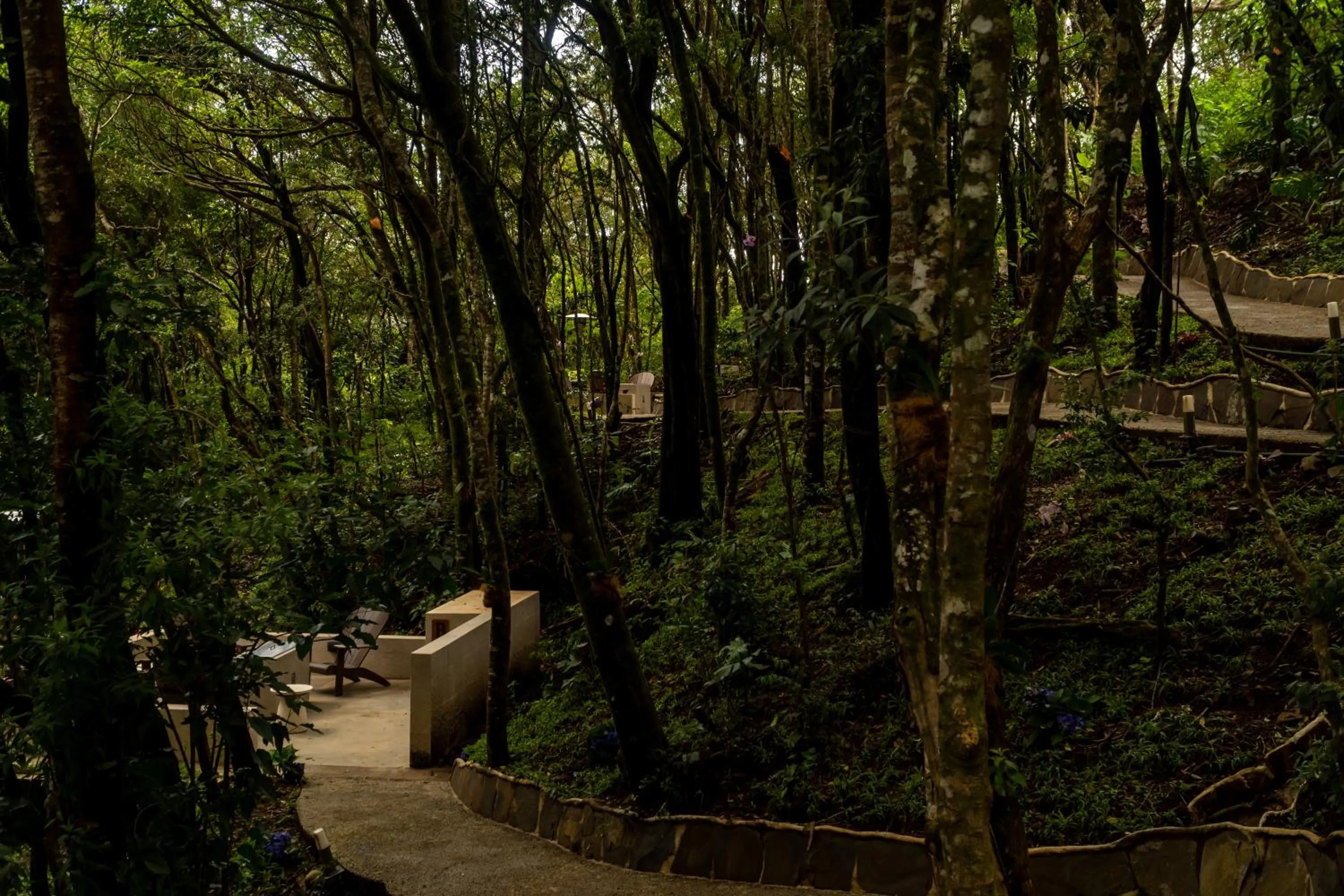 Natural landscape in Koora Monteverde a Cloud Forest Hotel by Sandglass