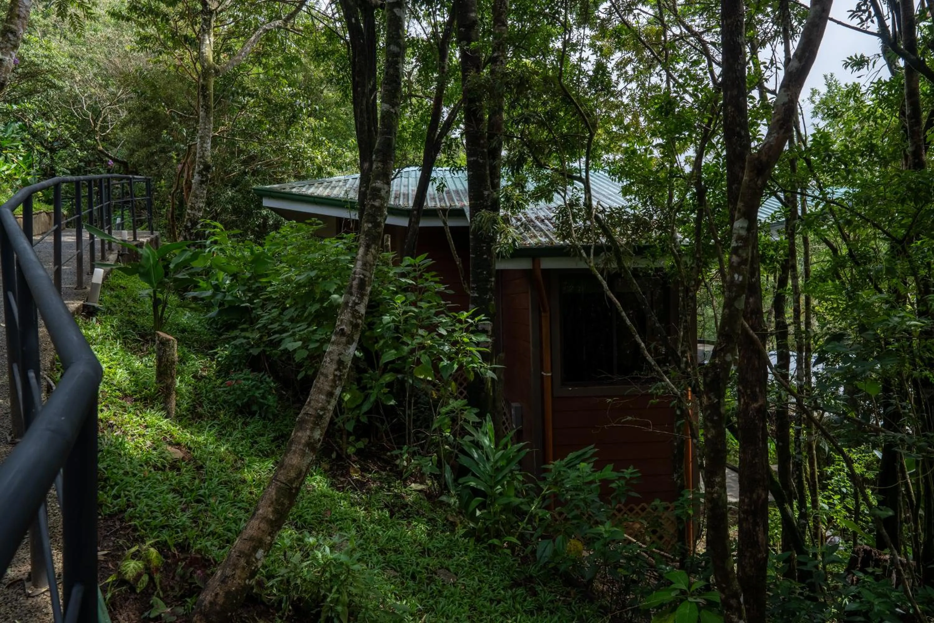 Property building in Koora Monteverde a Cloud Forest Hotel by Sandglass