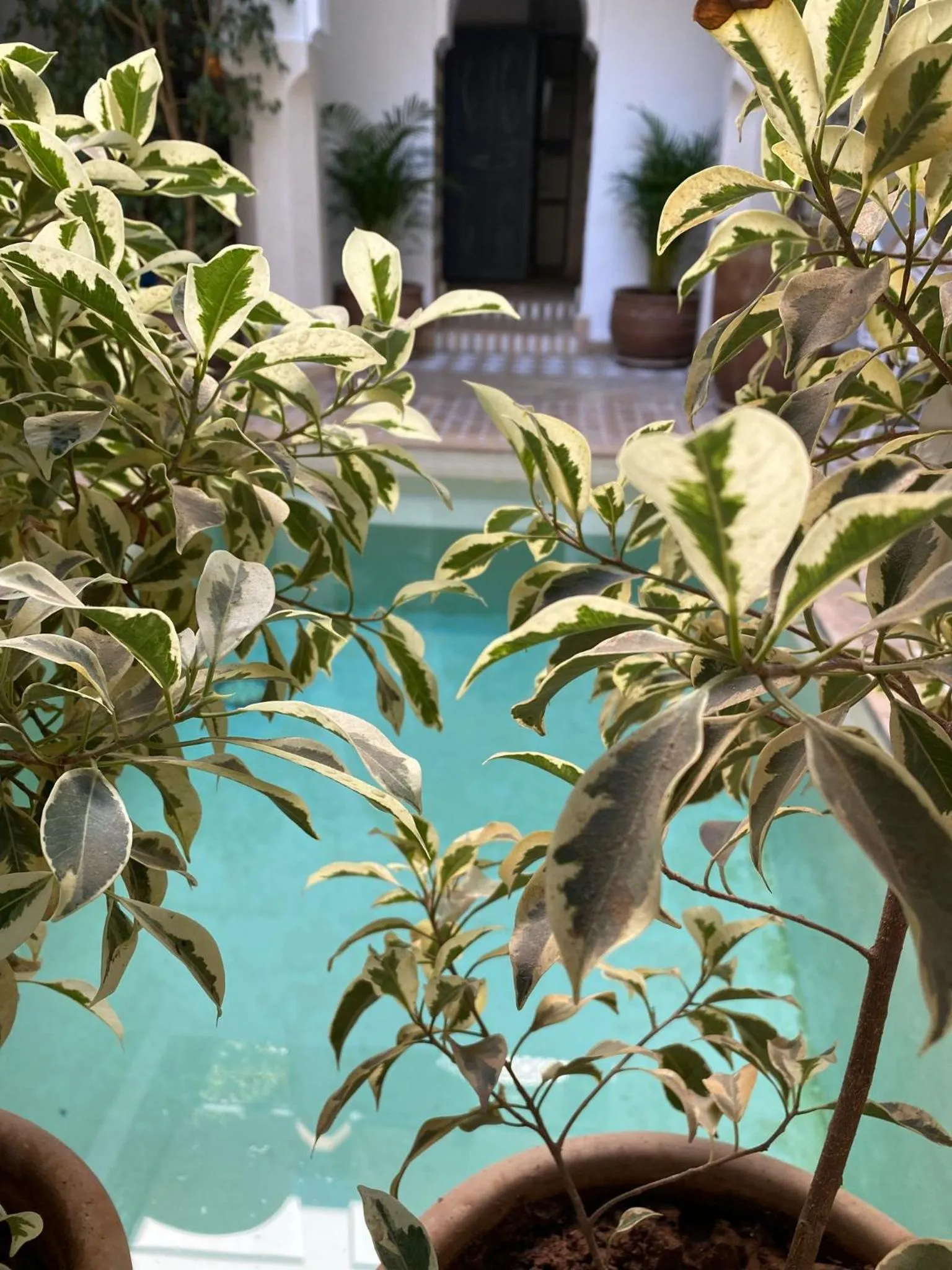 Swimming pool in Riad Magellan Yoga and Spa