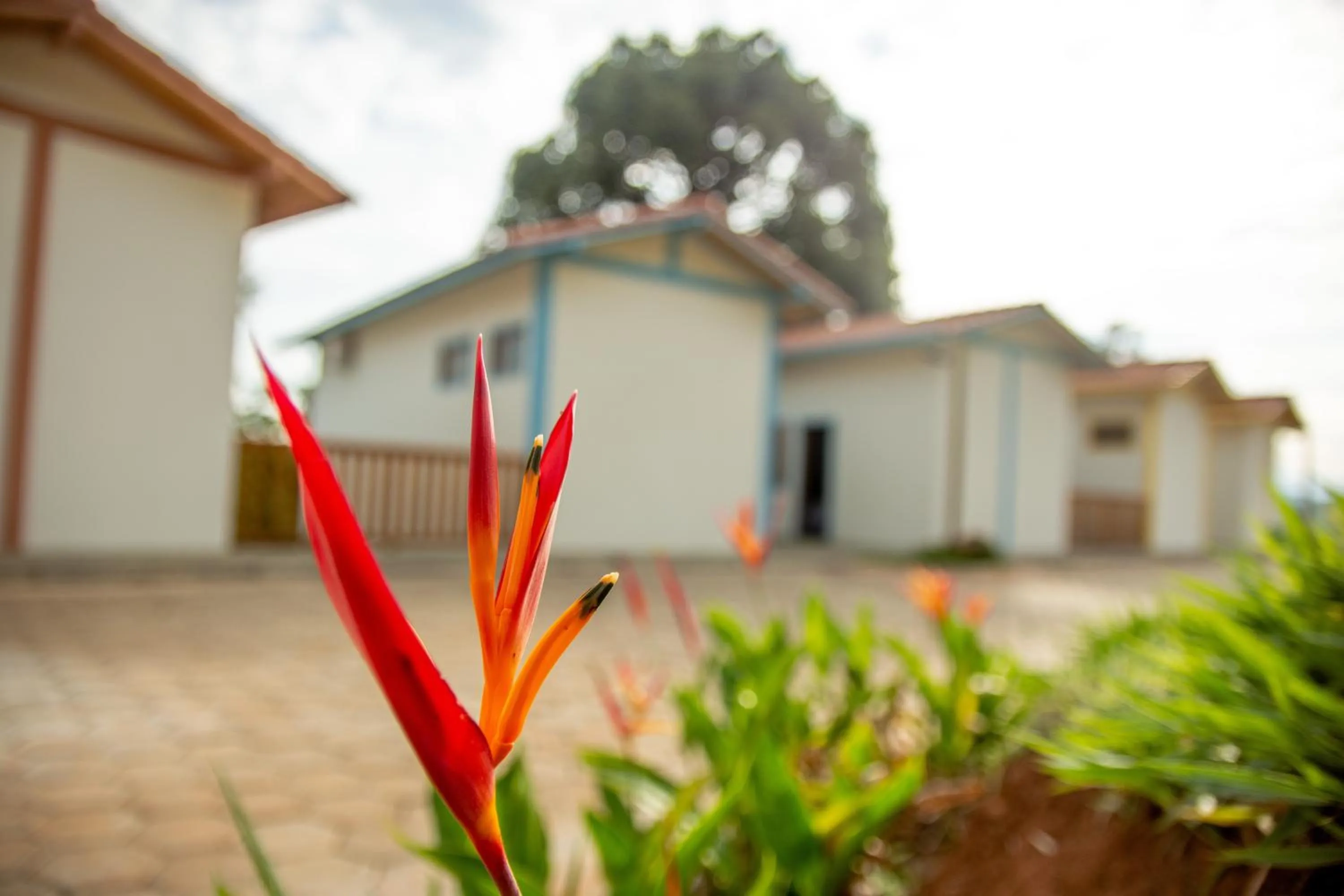 Lagoa Seca Hotel Rural