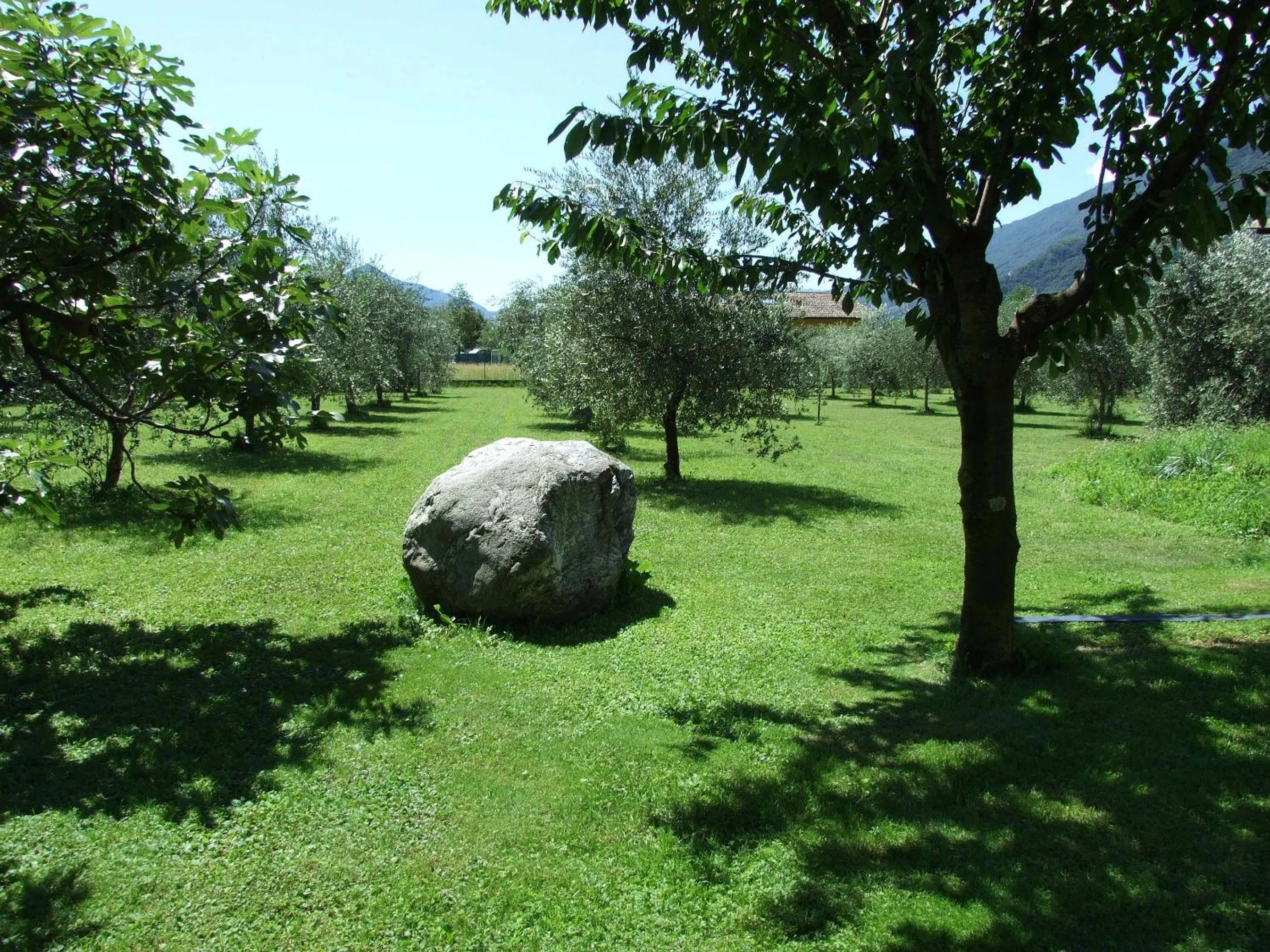 Garden in Agriturismo Cà Del Lago