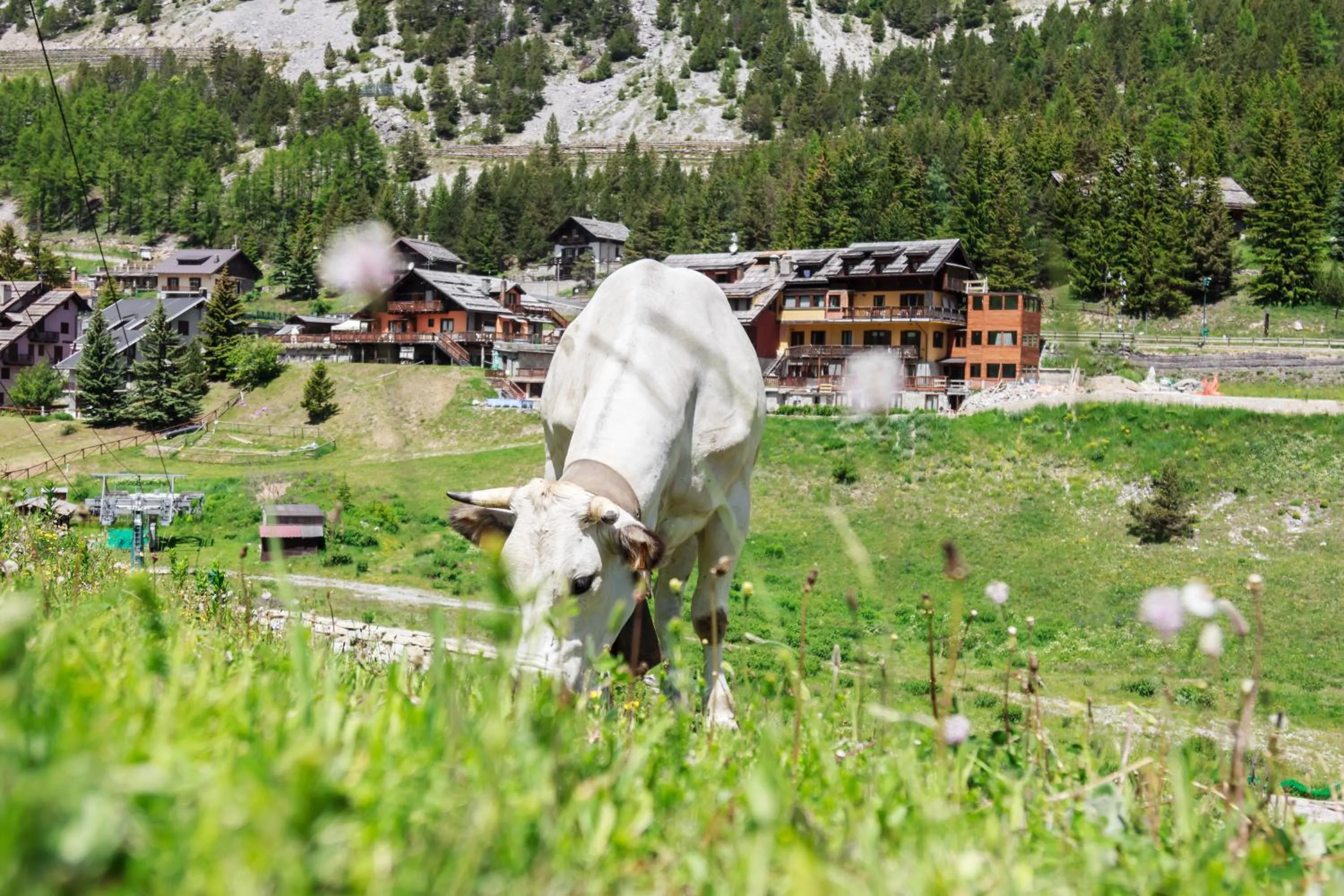 Facade/entrance in Hotel Al Foiron
