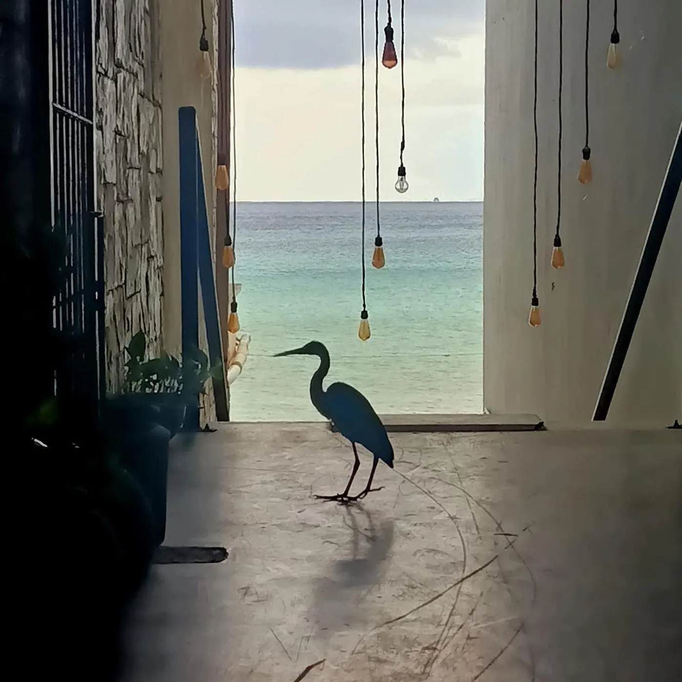 Property building in Hostel Auikyani