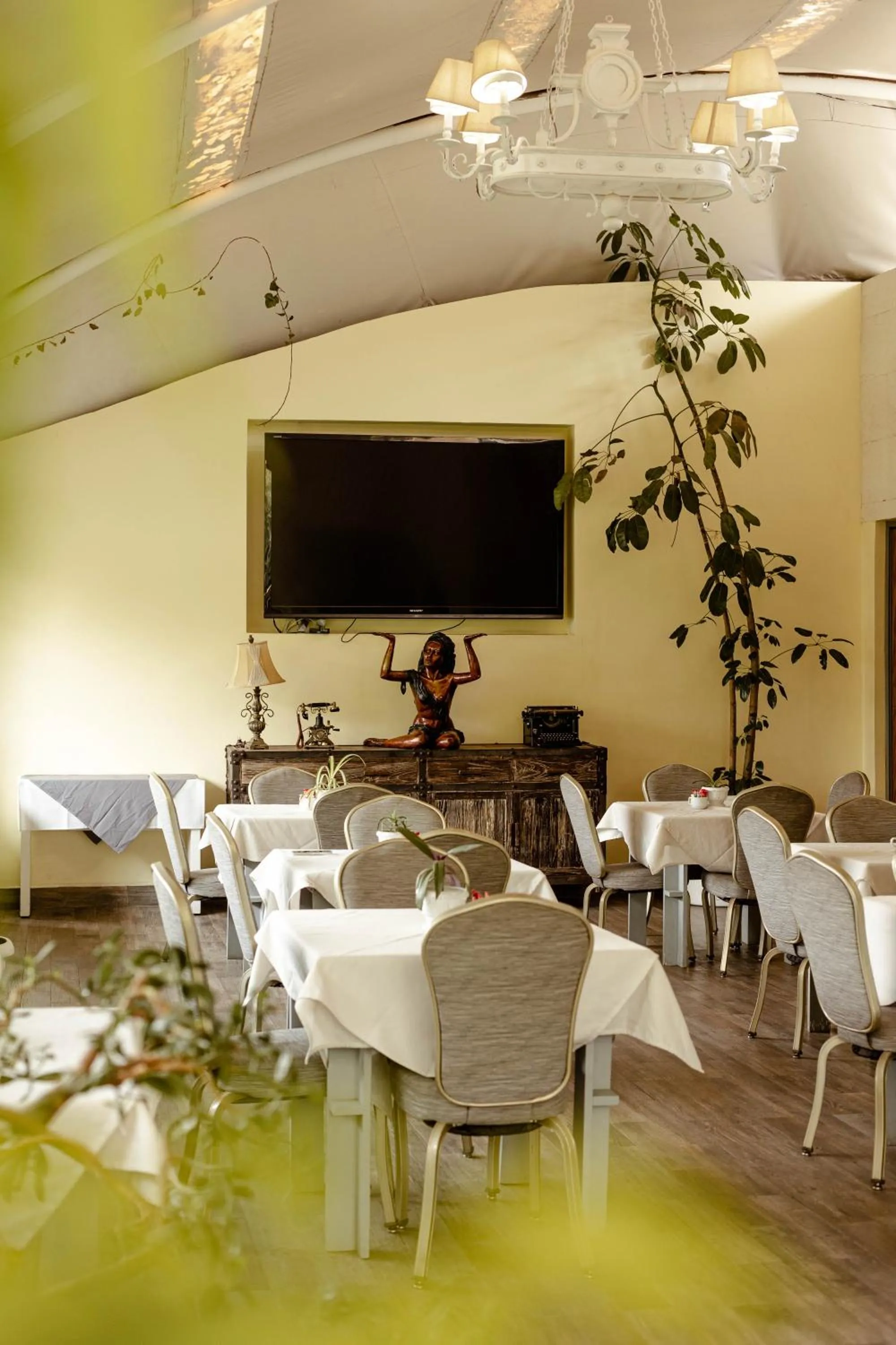 Restaurant/places to eat in Maria Condesa