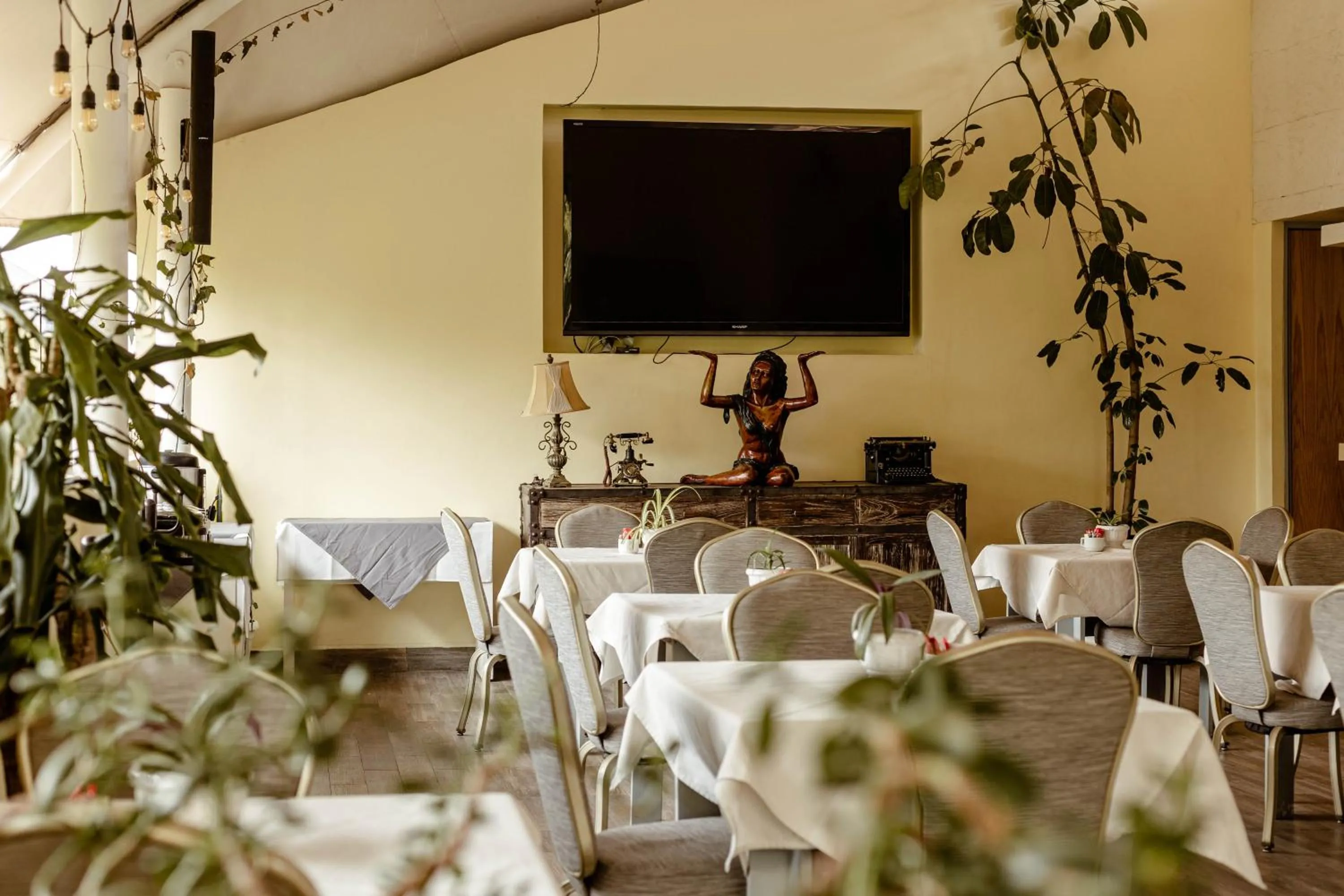 Restaurant/places to eat in Maria Condesa