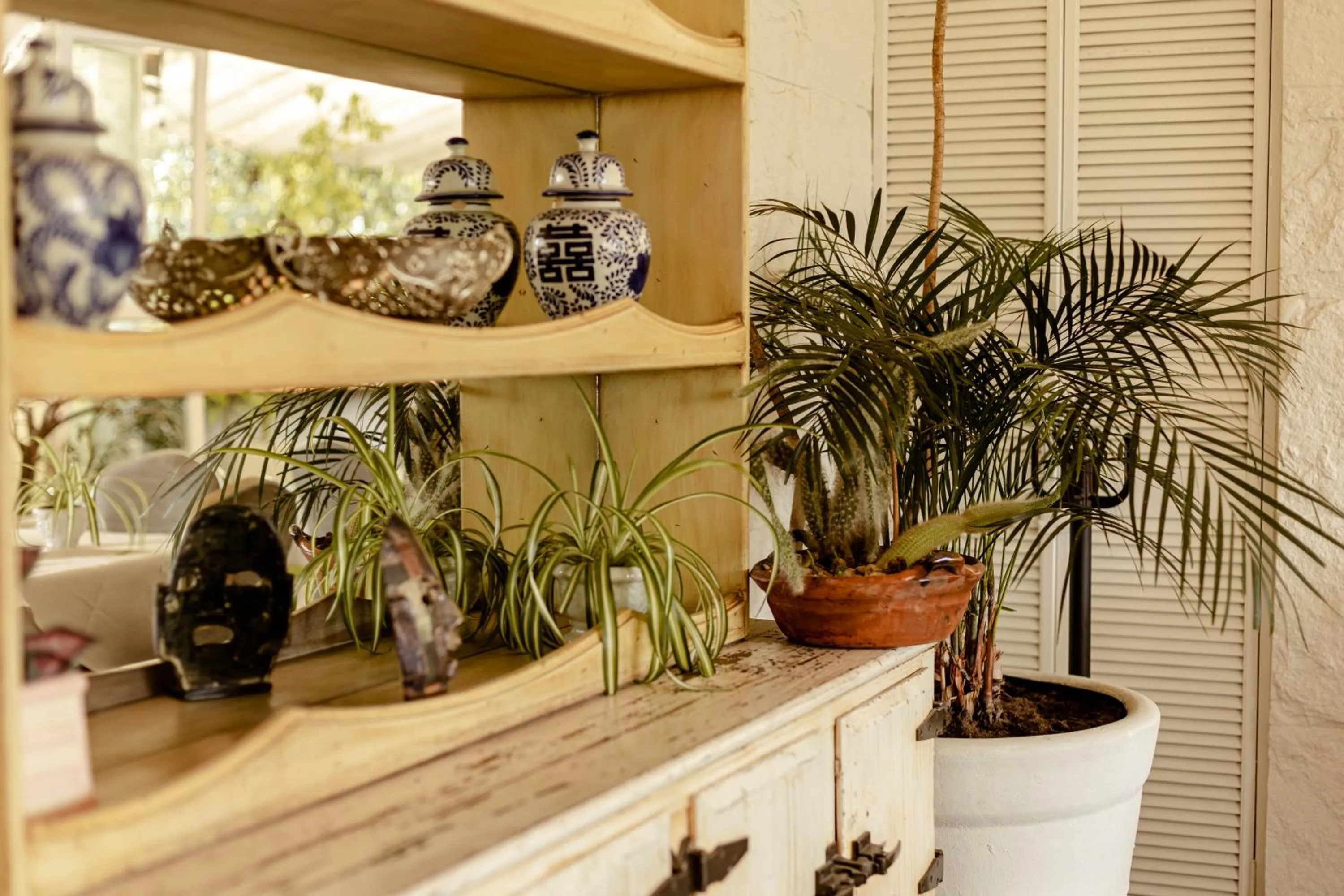 Balcony/Terrace in Maria Condesa
