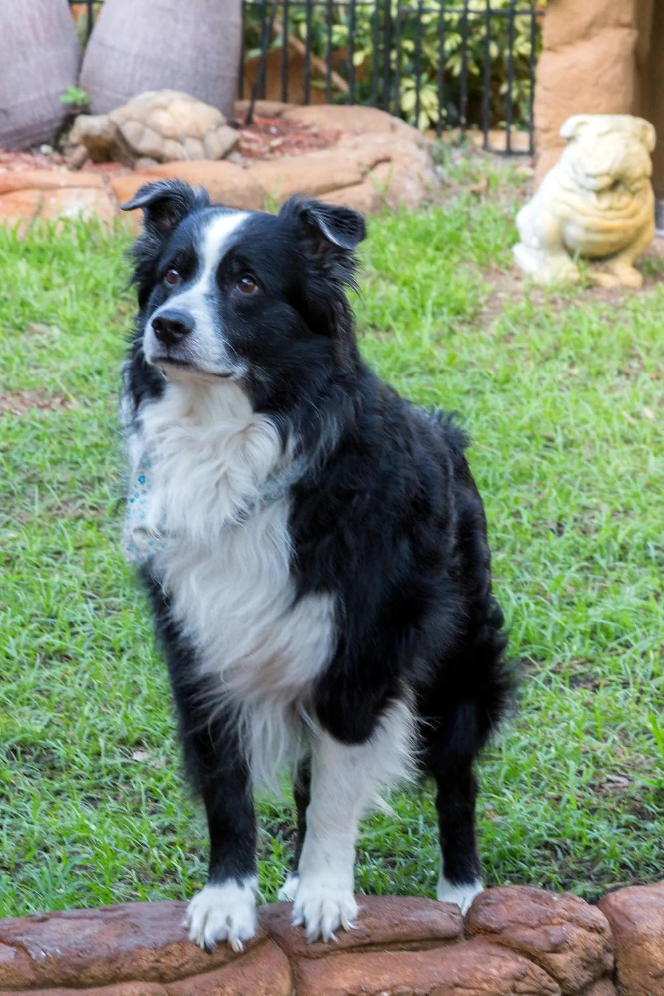 Richard's Pet Friendly Motel