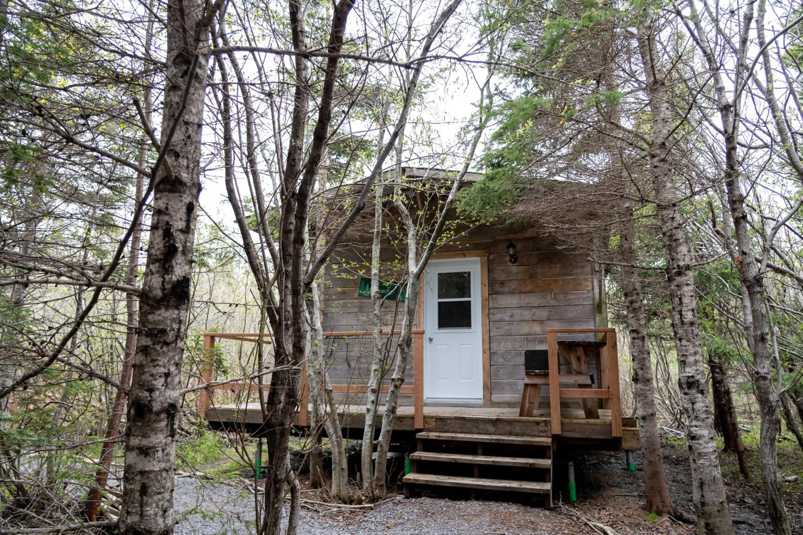 Auberge/Chalet Griffon Aventure