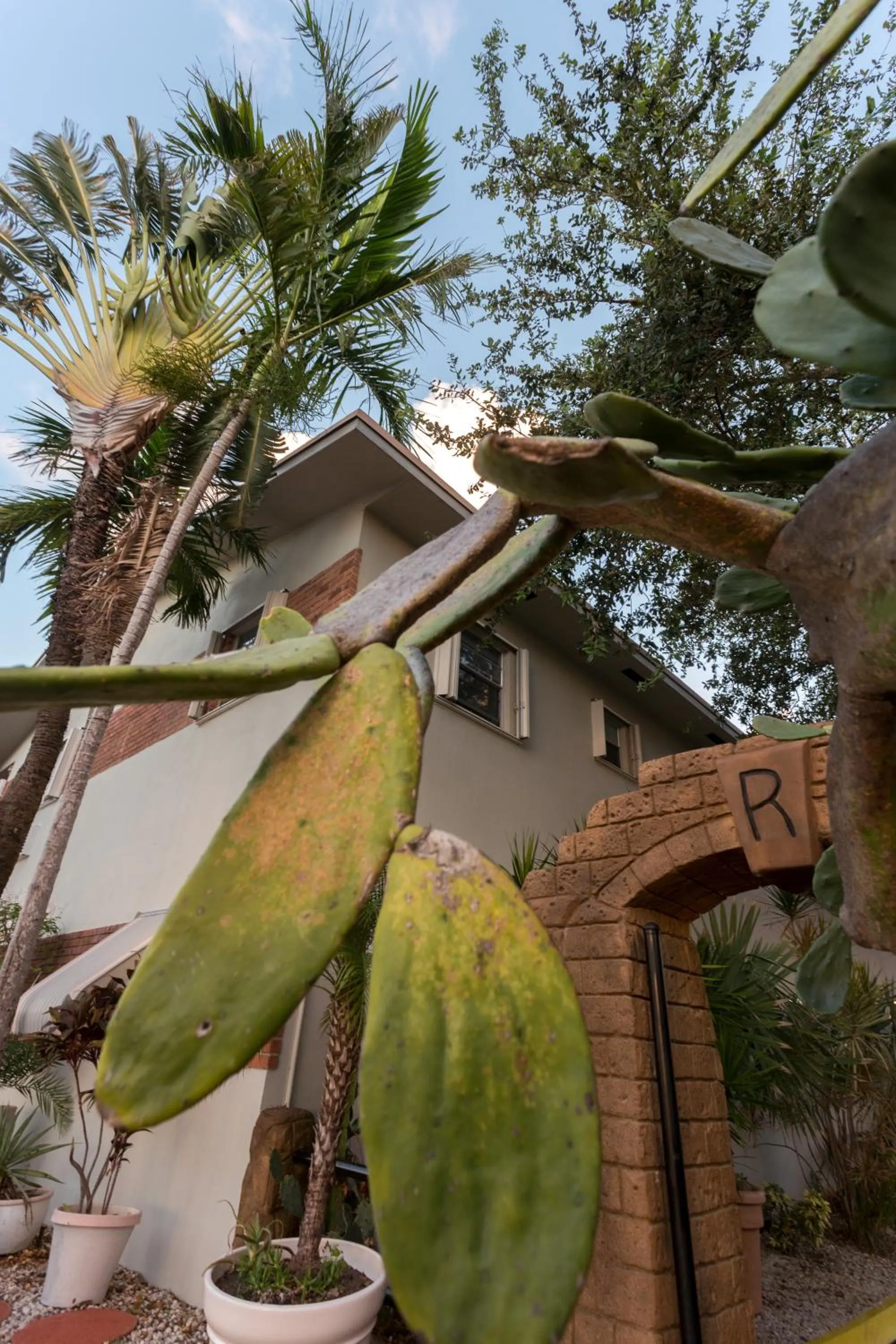 View (from property/room) in Richard's Motel Studios