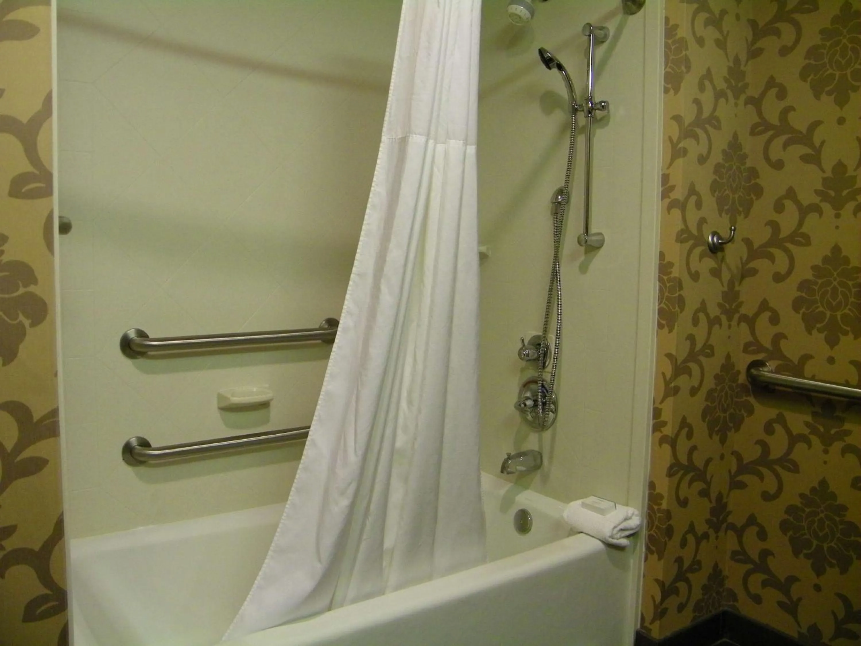 Bathroom in Hampton Inn and Suites Hope