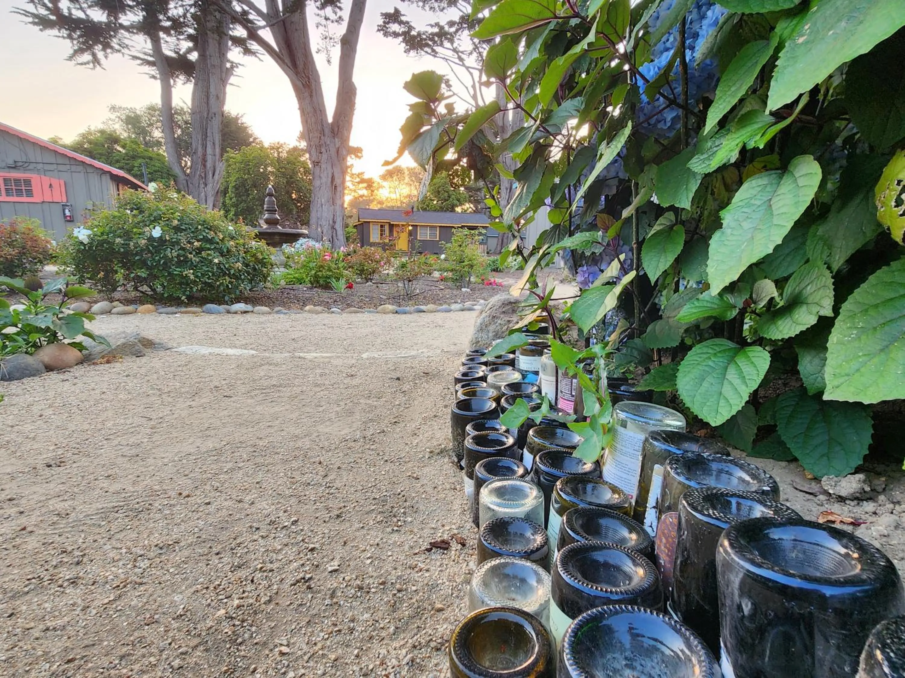 Garden in Carmel River Inn & Cottages