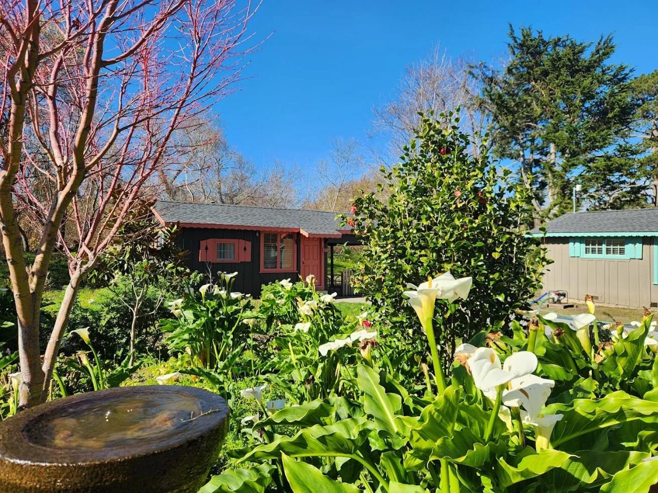 Garden view in Carmel River Inn & Cottages