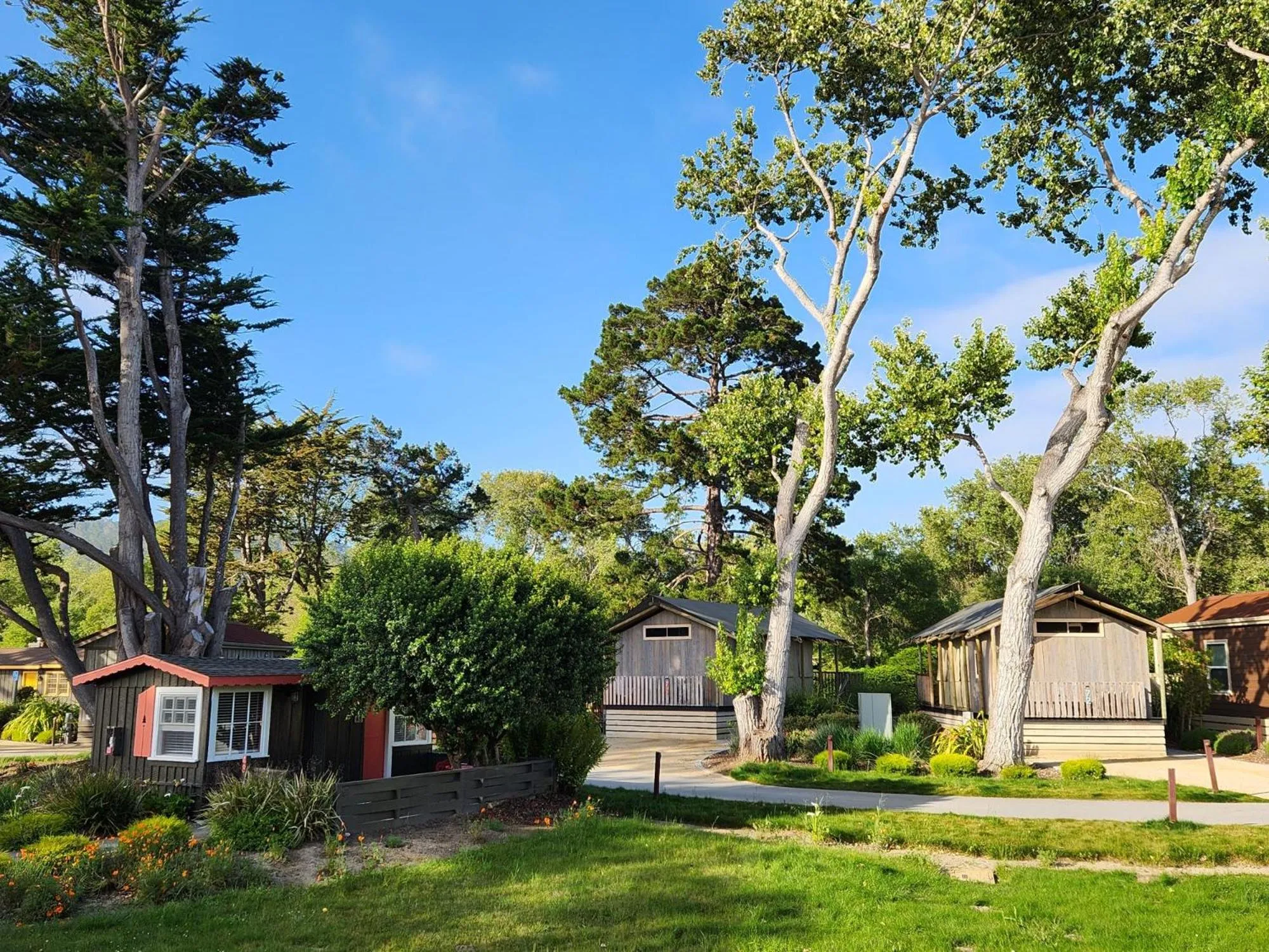 Garden in Carmel River Inn & Cottages